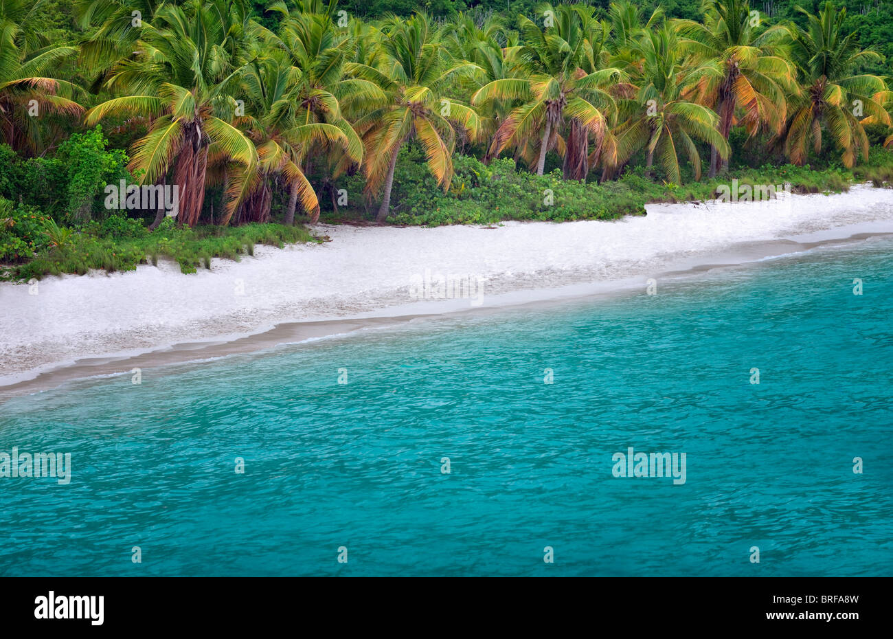 Beach at Jost Van Dyke, British Virgin Islands. Stock Photo