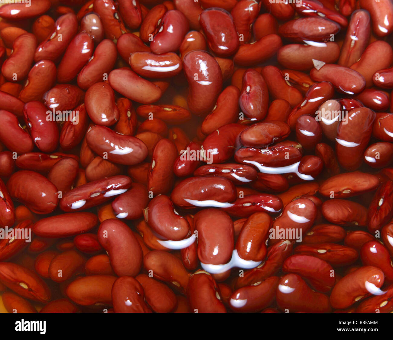 Kidney bean hires stock photography and images Alamy