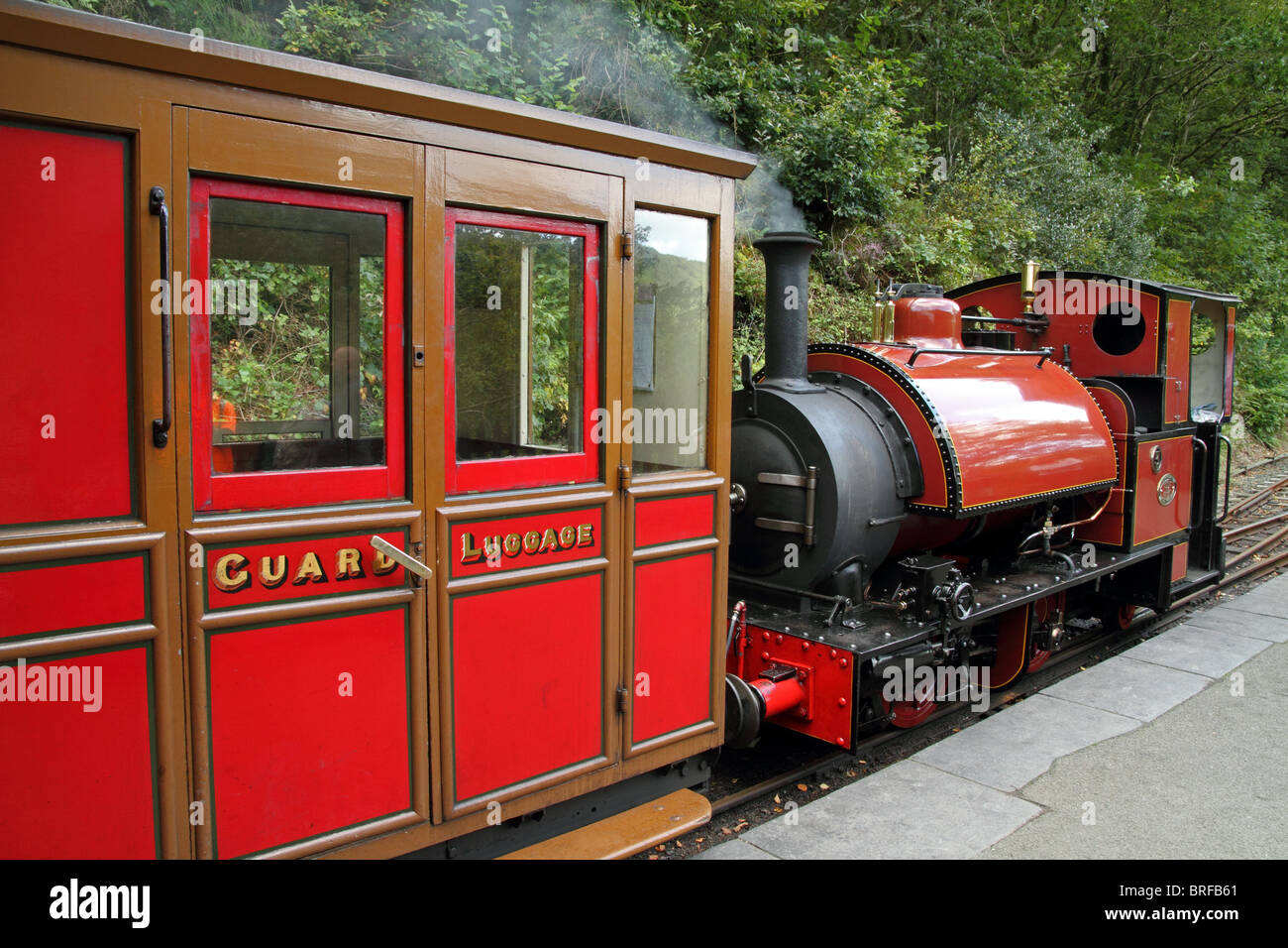 Irish Narrow Gauge Railways