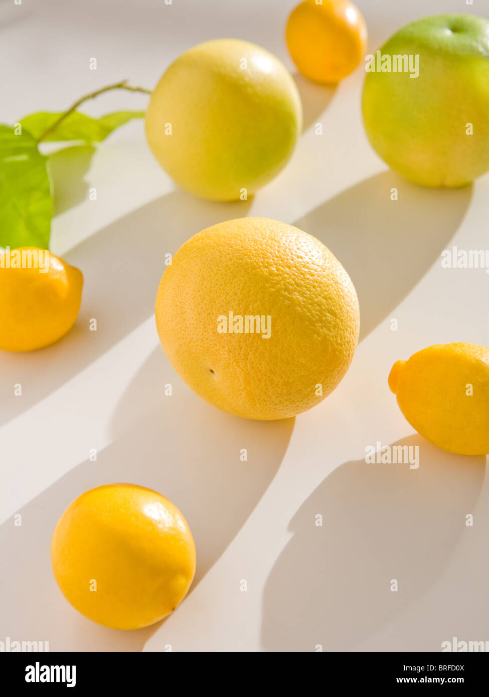 Oranges and Lemons Stock Photo Alamy