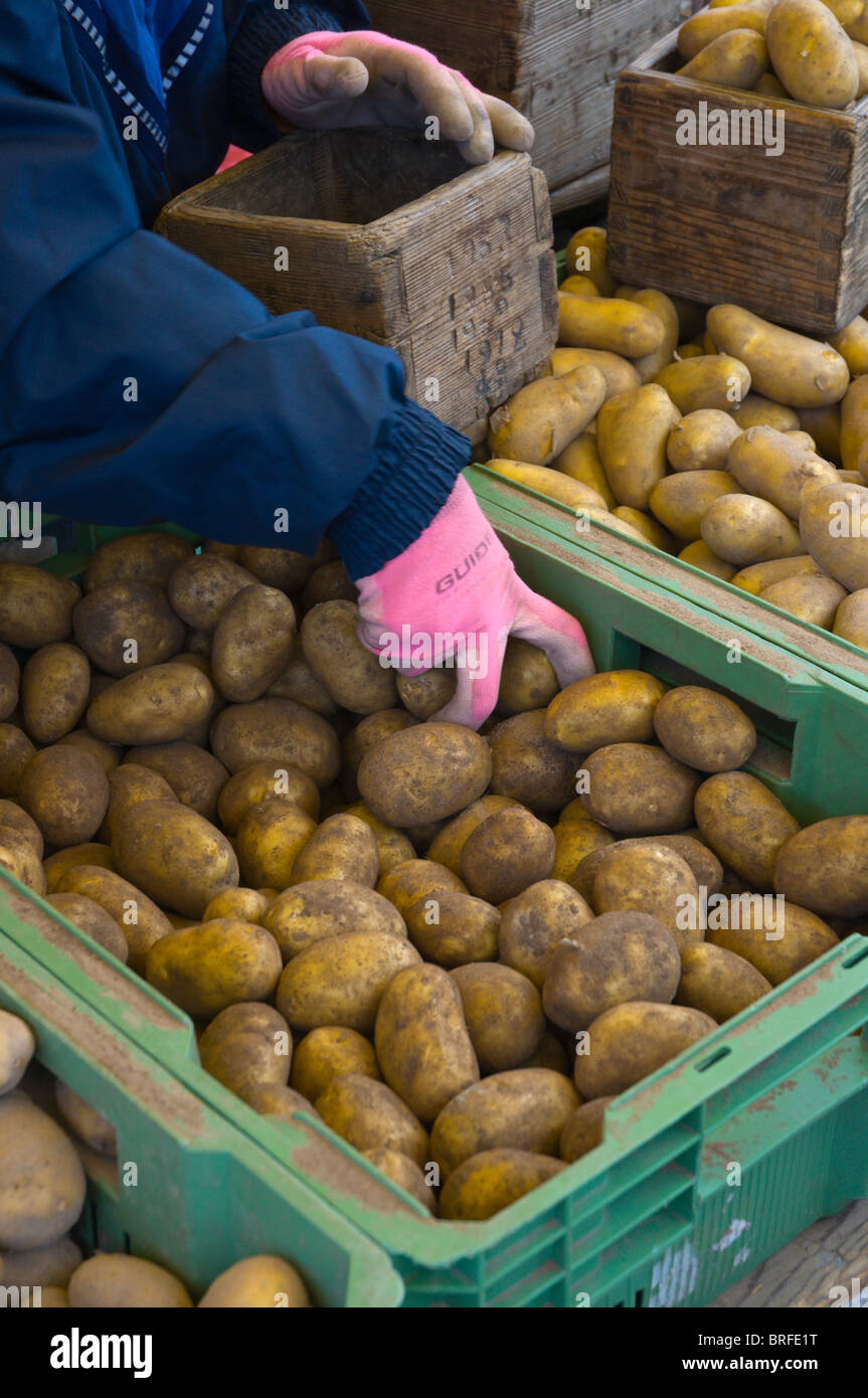 Potato seller filling up eallon Pori market square Finland Europe Stock Photo