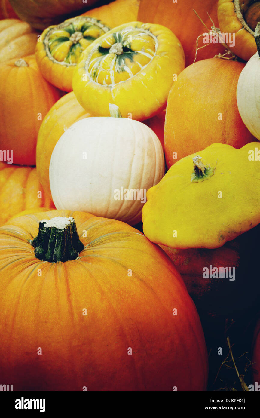 Halloween pumpkins Stock Photo