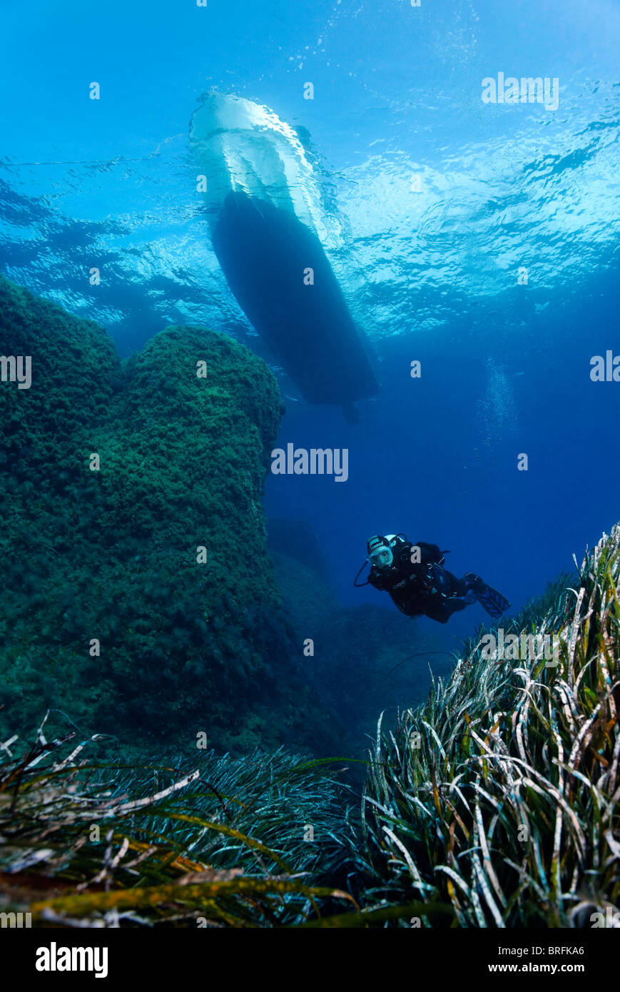 Scuba diver under a dive boat swimming above Neptune Grass (Posidonia oceanica), Paphos, Cyprus, Asia, Mediterranean Sea Stock Photo