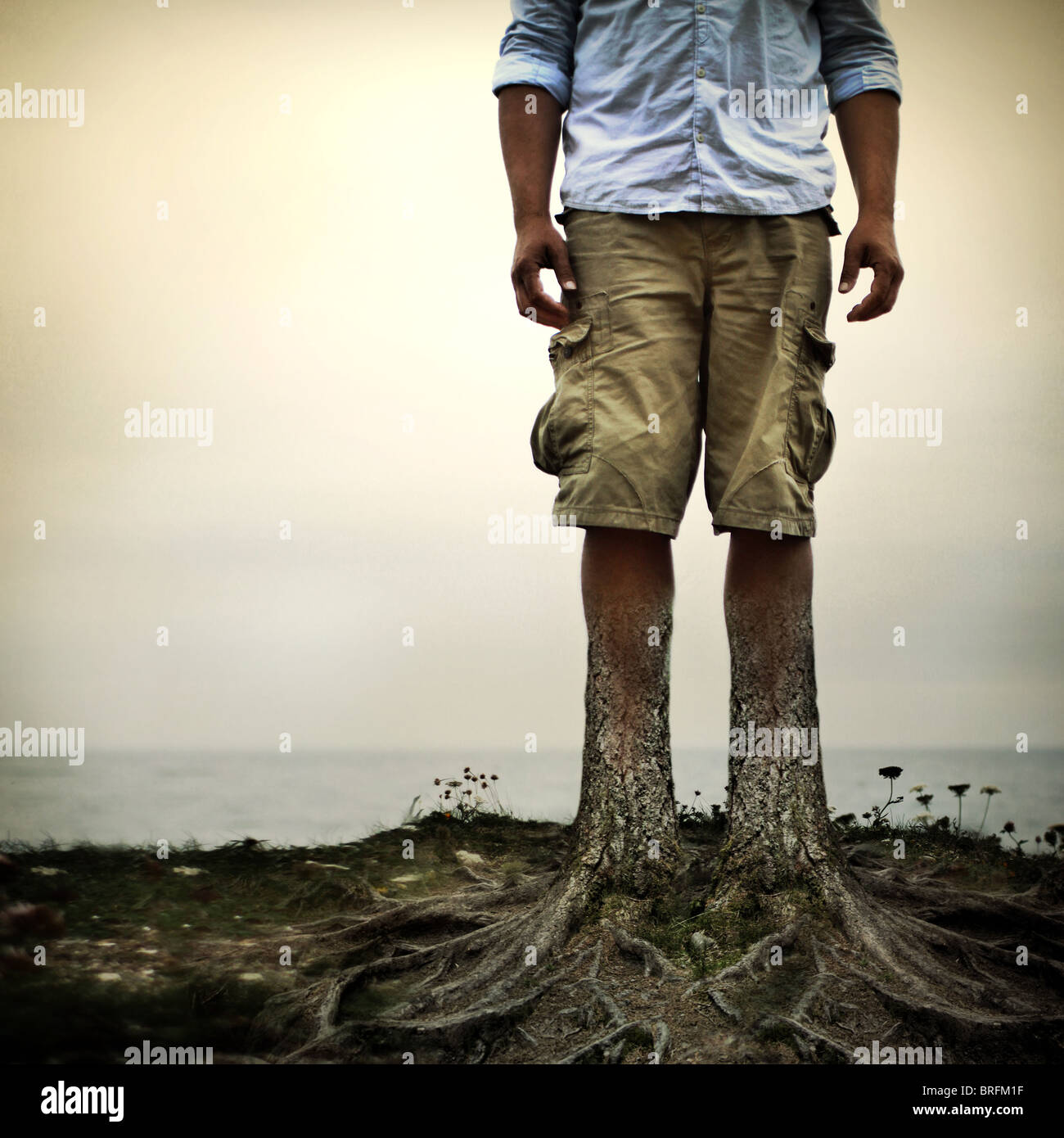 man with tree trunks for legs Stock Photo - Alamy