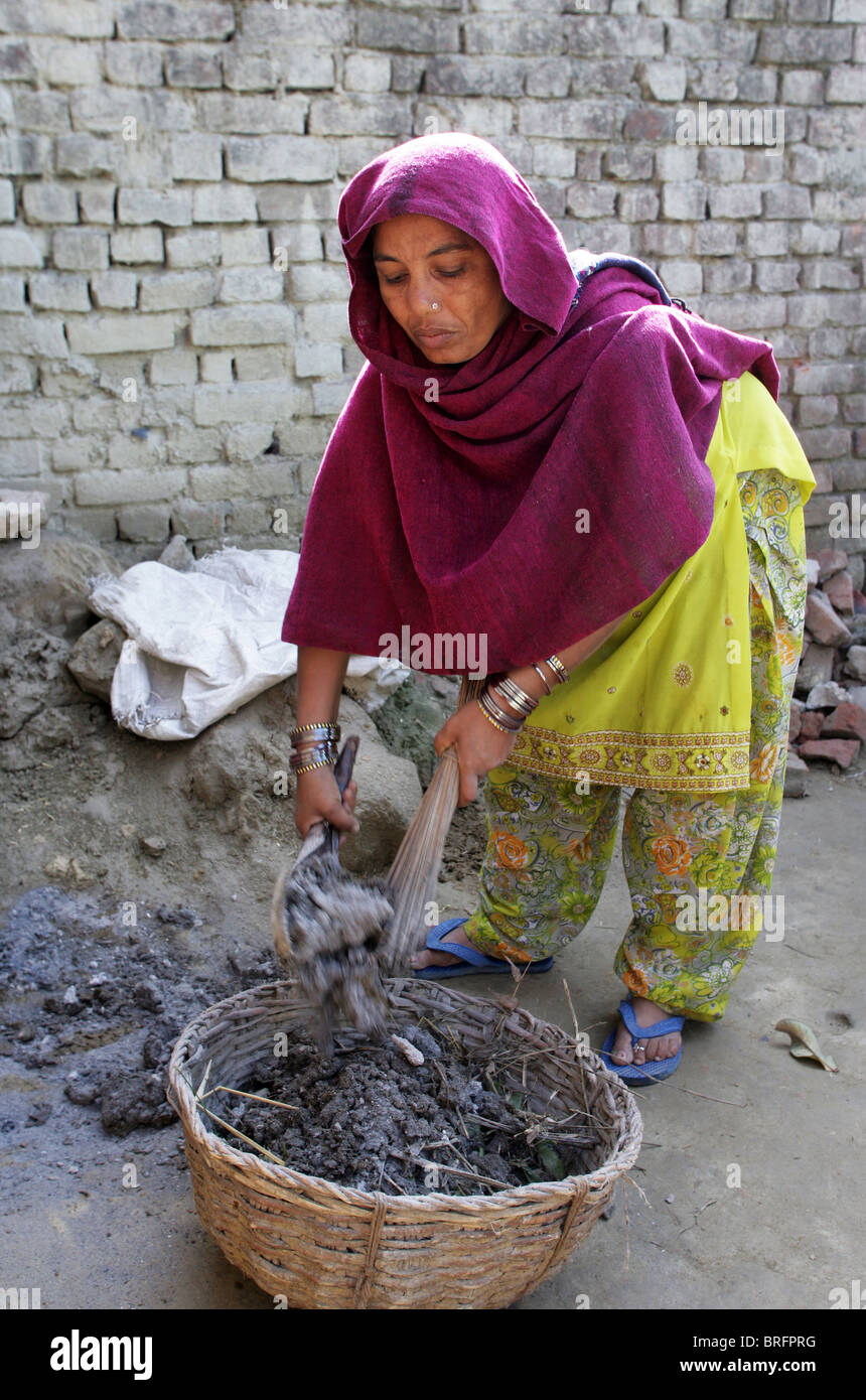 Dalit woman from the cast of the untouchables working as scavangers, cleaning human excrements. Uttar Pradesh, India Stock Photo