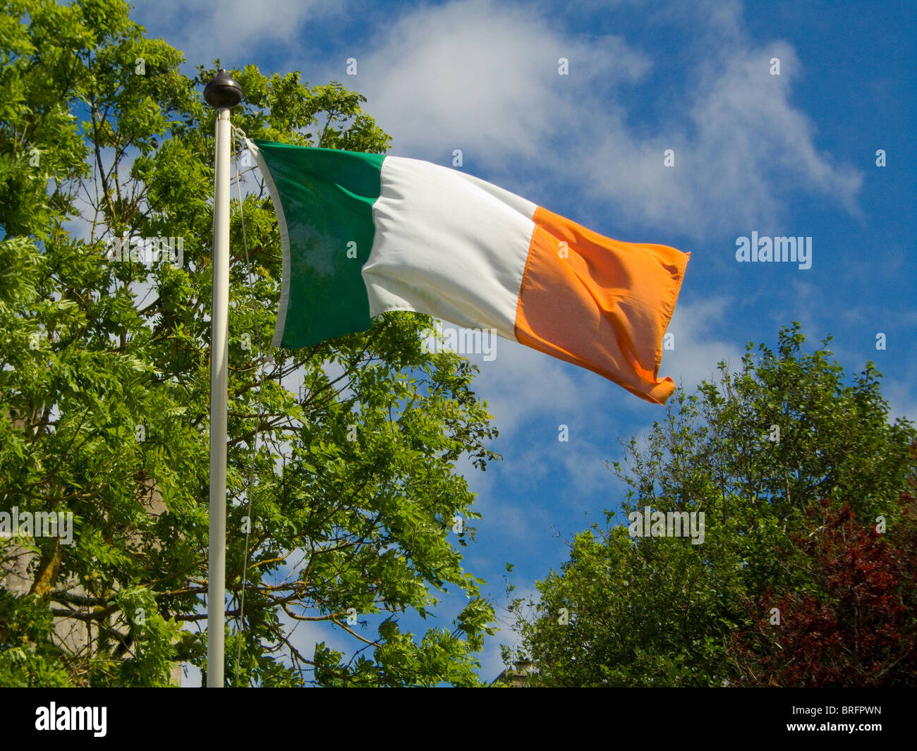 Irish National Flag The National Flag Of The Republic Of Ireland BRFPWN