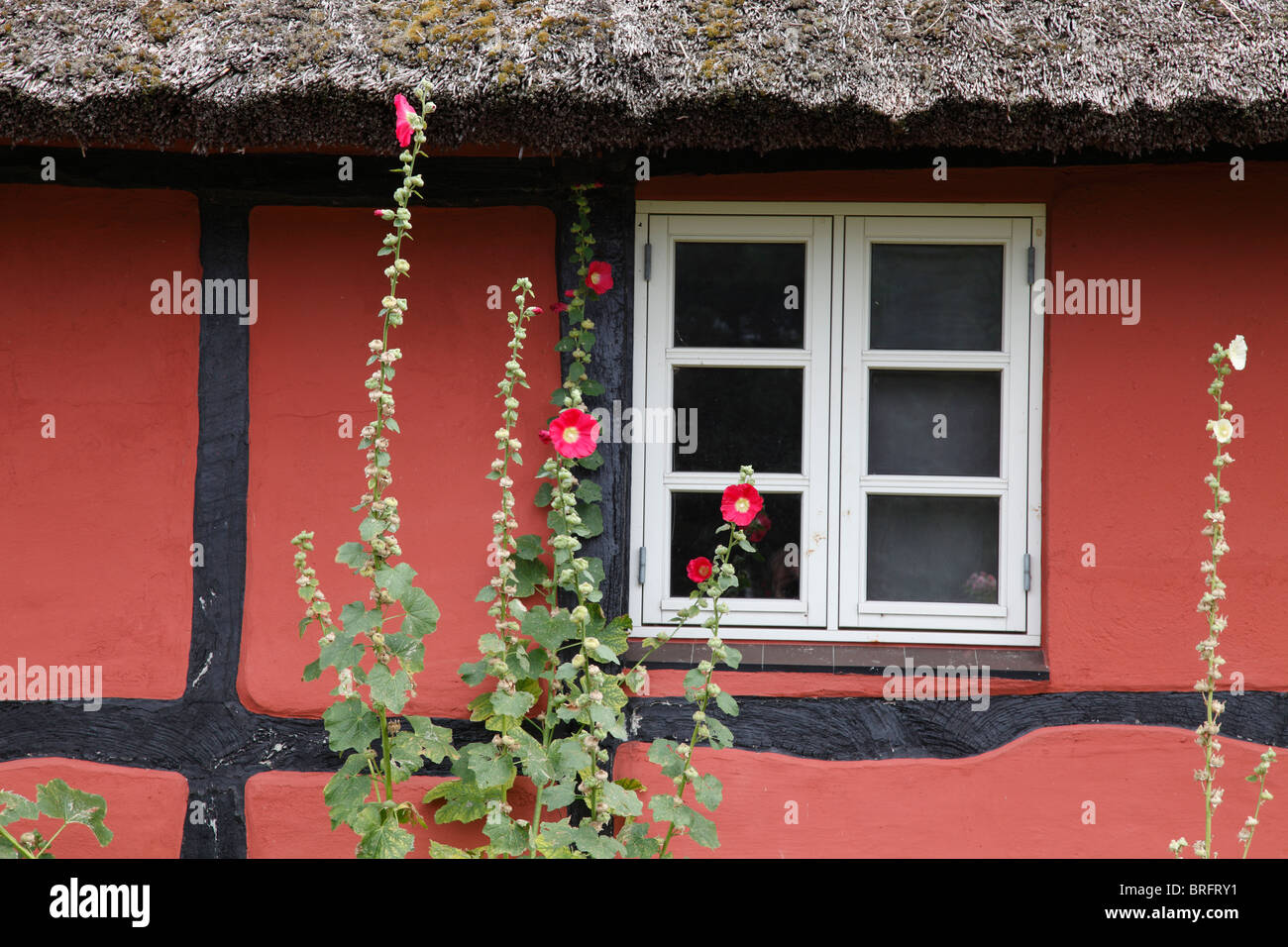 red mallos in front of a thatched cottage Stock Photo