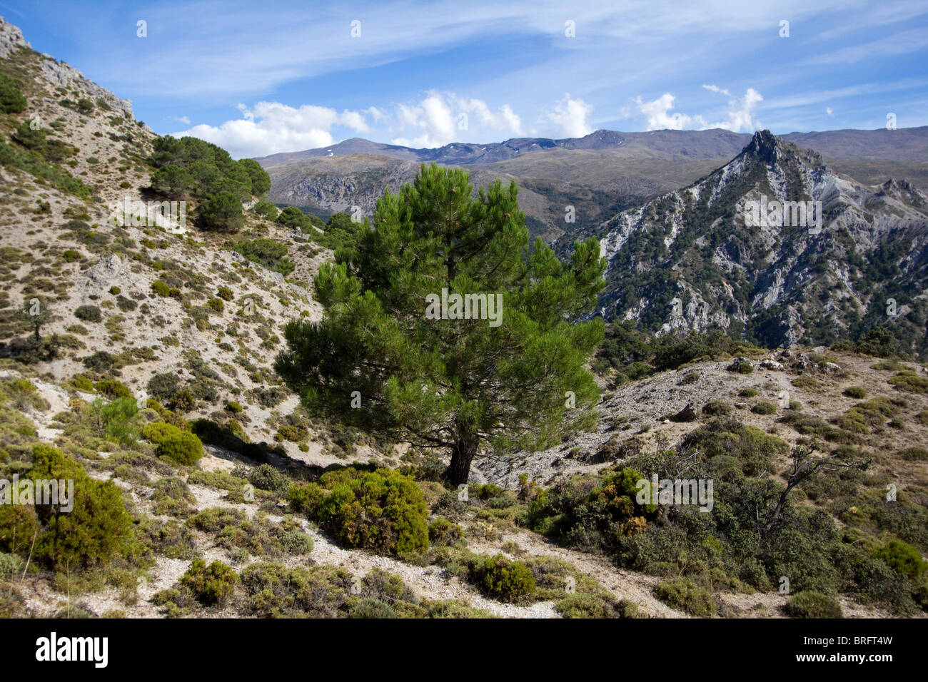 Huenes and cerro gordo area Sierra