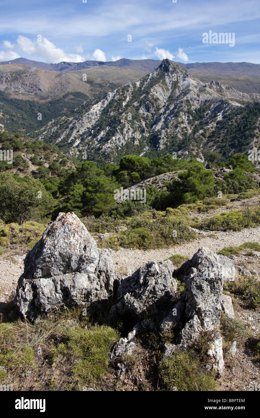 Cerro gordo national park hires stock photography and images Alamy