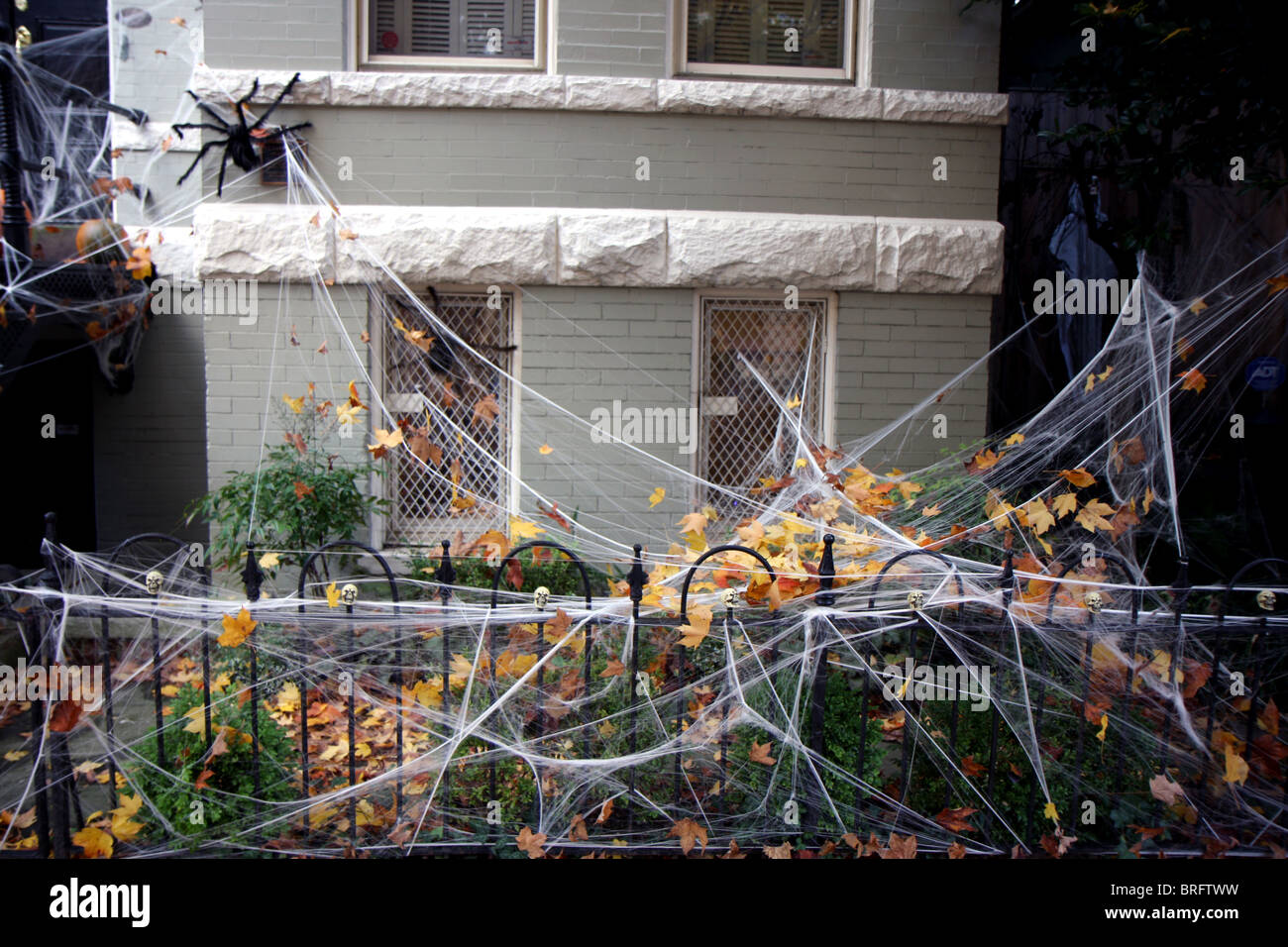 halloween spider house decorations