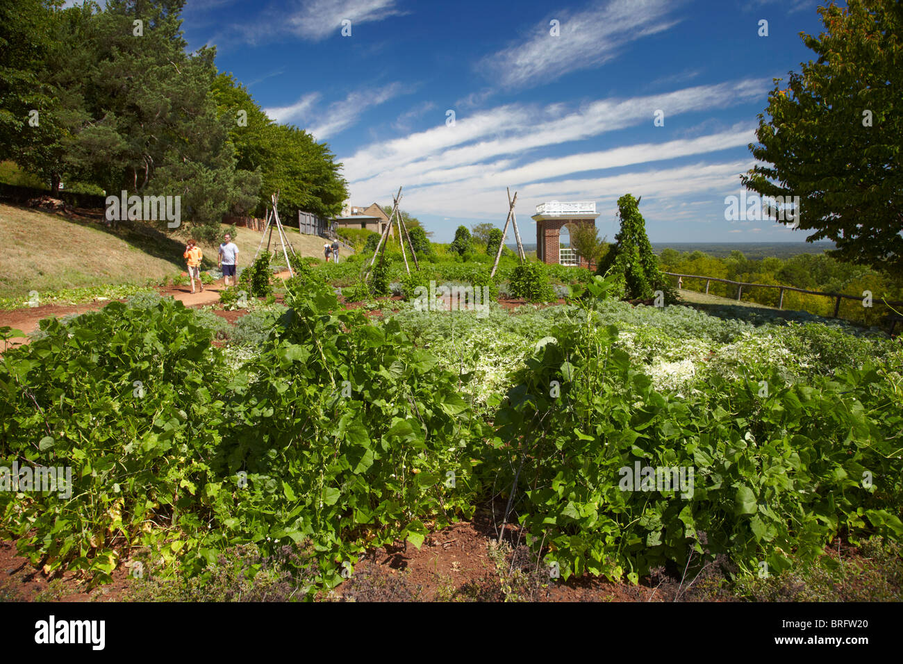 The restored Thomas Jefferson vegetable garden at Monticello, Virginia, USA. Stock Photo