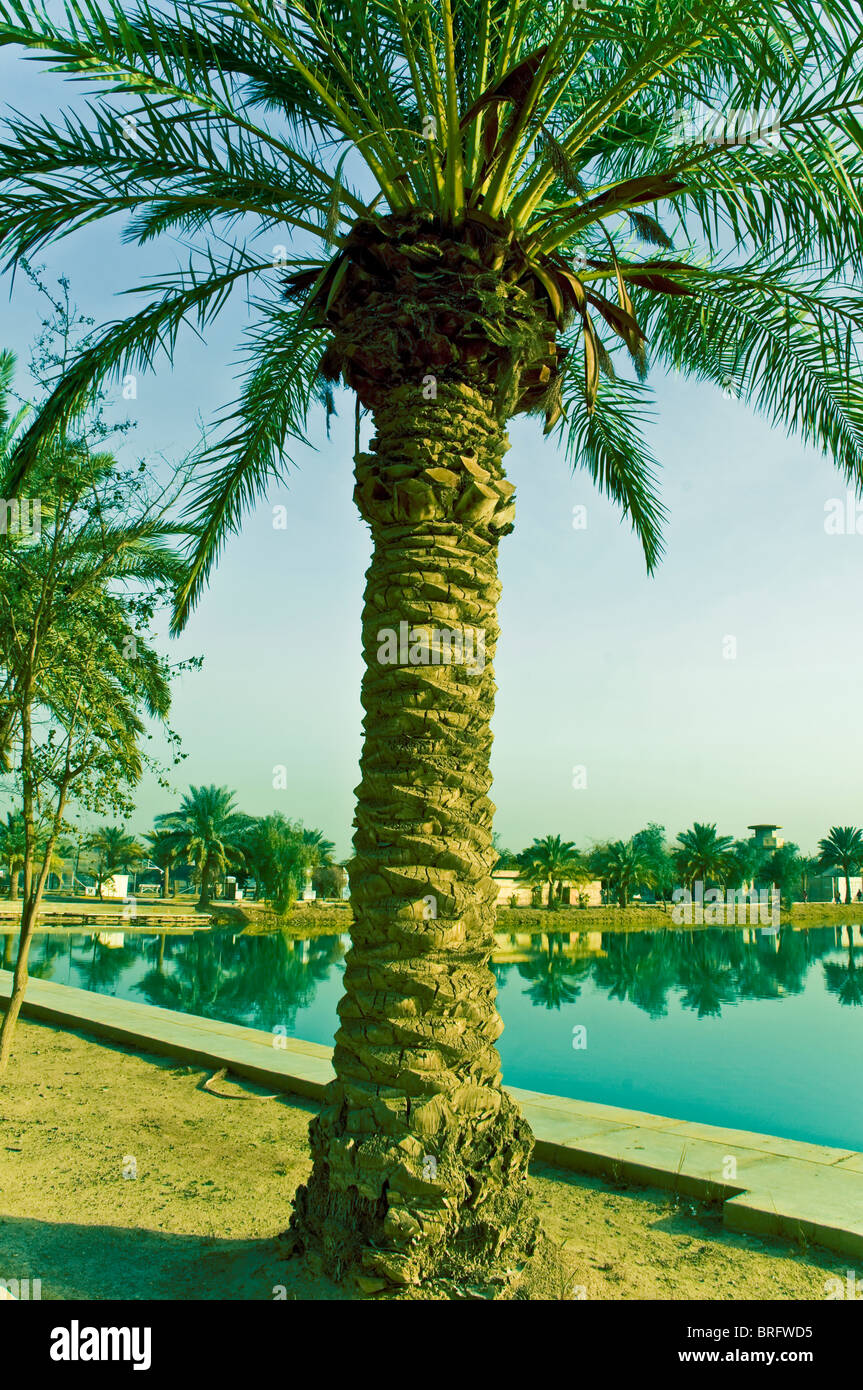 Lake baghdad hi-res stock photography and images - Alamy