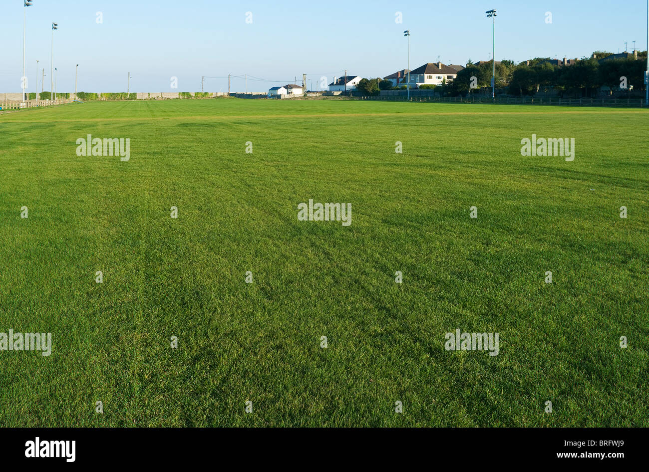 Fresh green grass newly laid on the pitch at Skerries Rugby Club, north county Dublin, Ireland Stock Photo