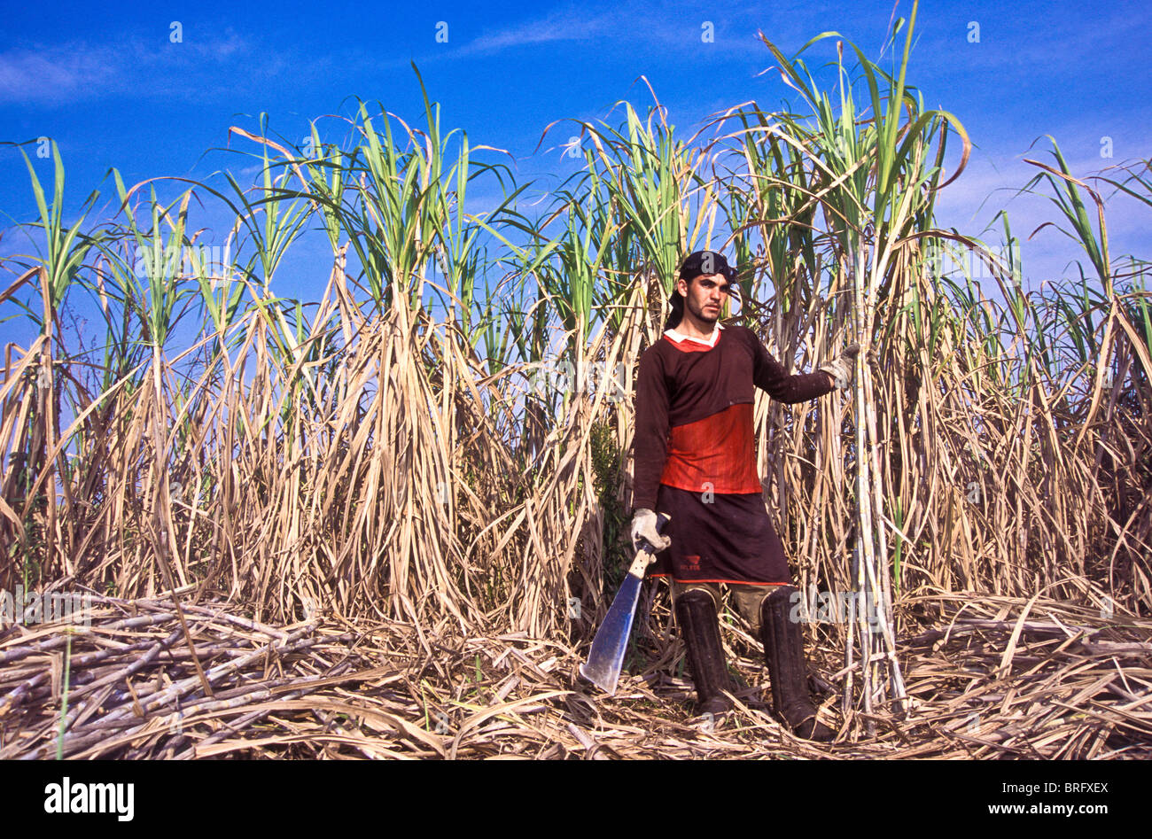 Portrait of a Sugar Cane worker on a large 'fazenda' ranch in the state of Sao Paulo, Brazil Stock Photo