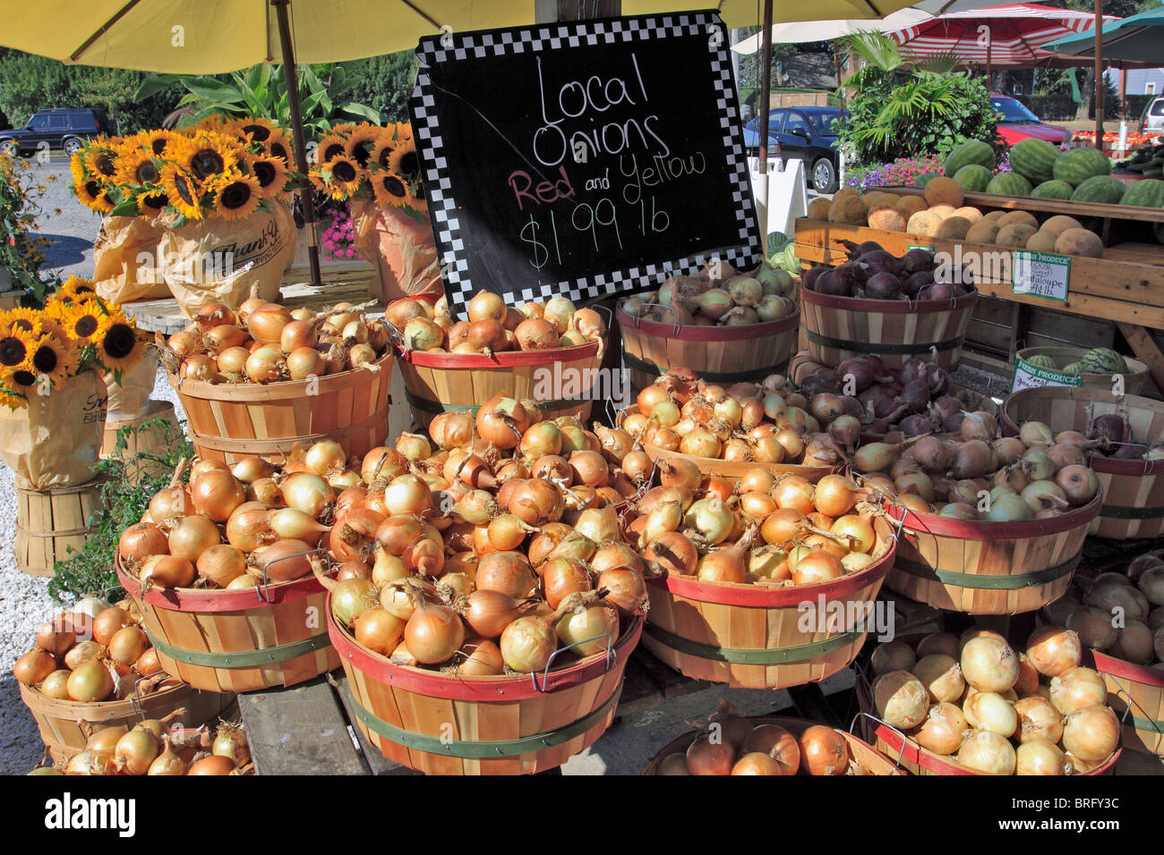 Farmstand on north fork of eastern Long Island NY Stock Photo Alamy
