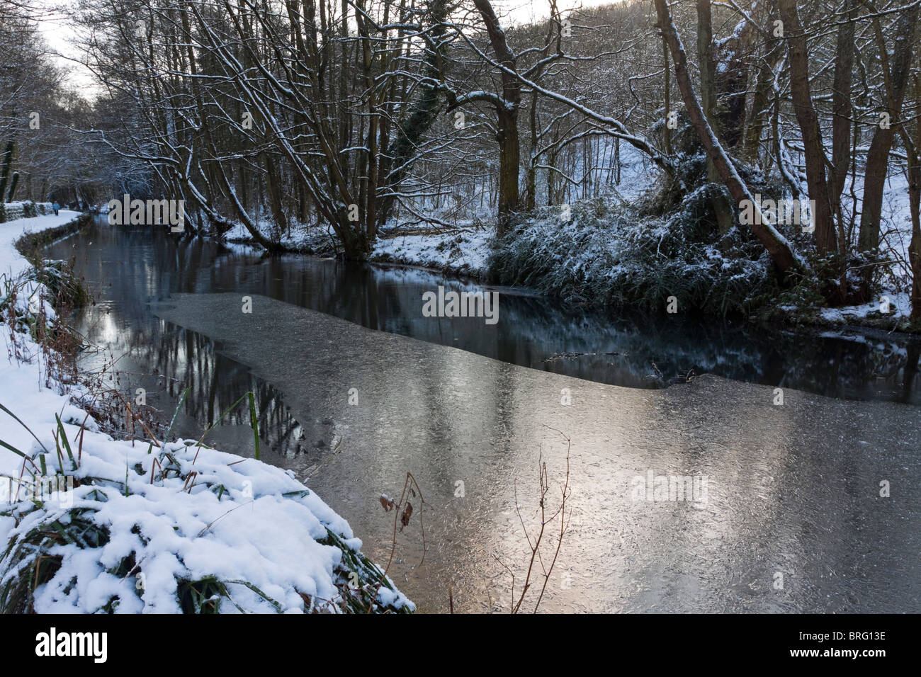 View of Cromford Canal in the Derbyshire Dales in the Peak District England UK with trees reflected in the water in cold winter Stock Photo