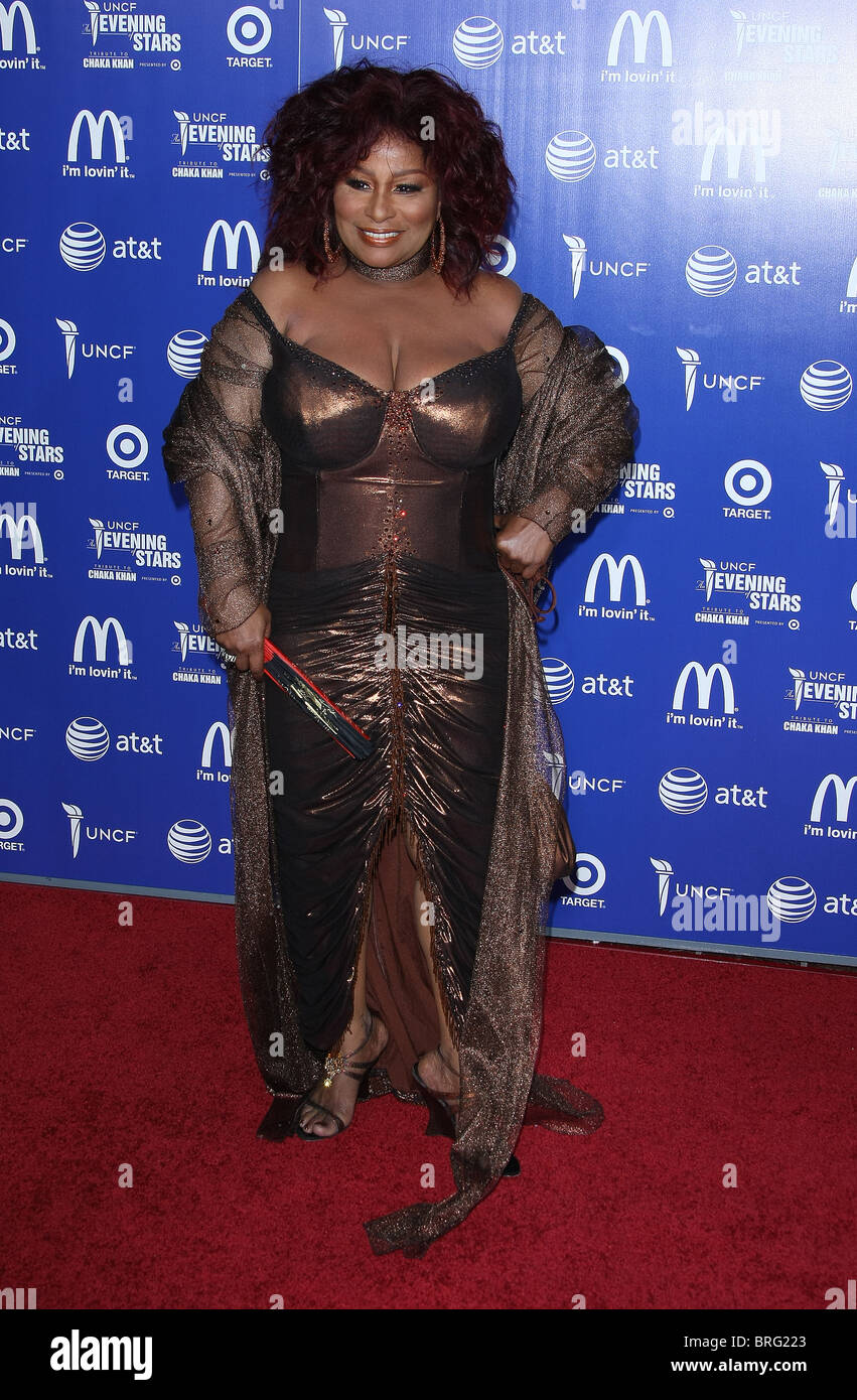 CHAKA KHAN UNCF'S AN EVENING OF STARS TRIBUTE TO CHAKA KHAN PASADENA