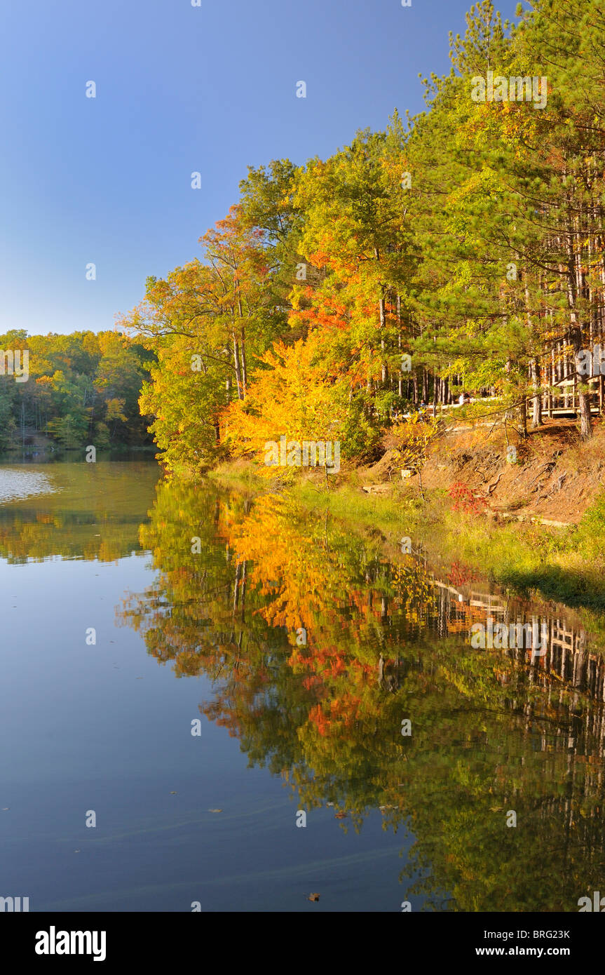Autumn Scene, Brown County State Park Stock Photo