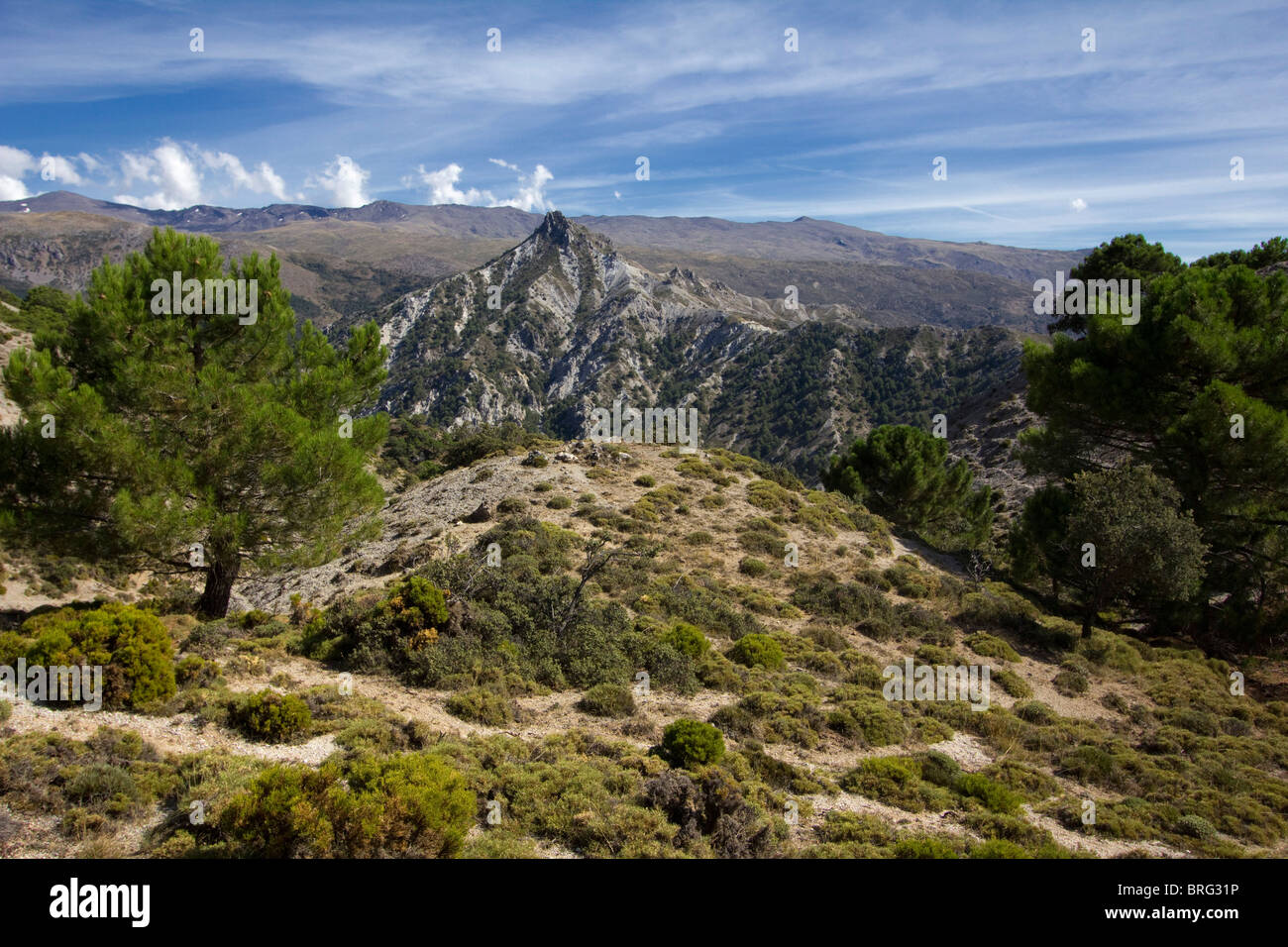 Huenes and cerro gordo area Sierra Nevada National Park Spain Europe Stock Photo Alamy