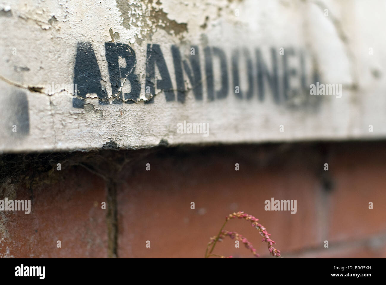 Abandoned housing hi-res stock photography and images - Alamy