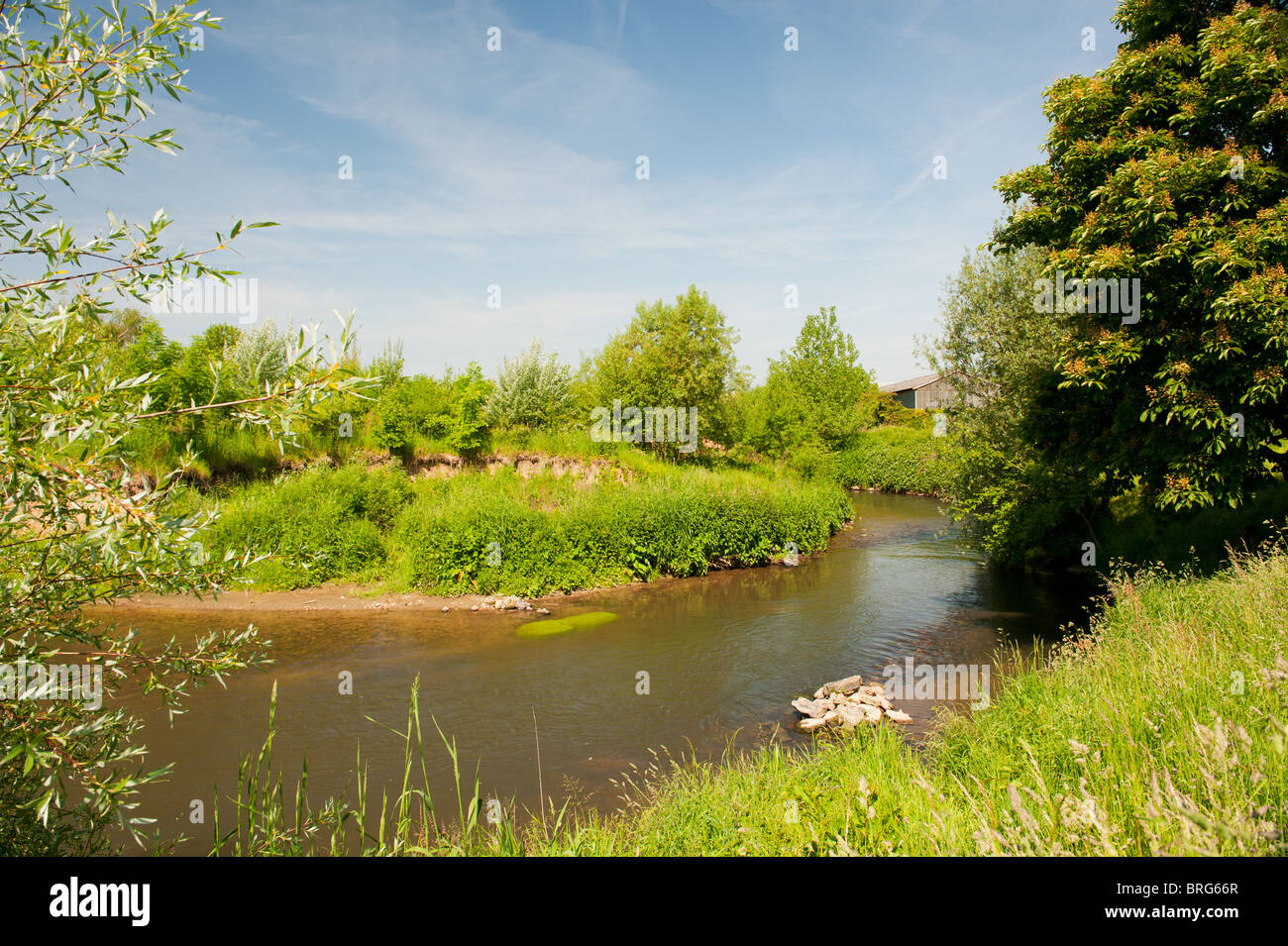 river the Geul in Dutch landscape at Limburg Stock Photo - Alamy