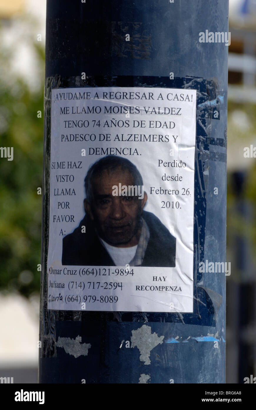 A Spanish language missing person poster affixed to a traffic signal pole in downtown San Diego, California. Stock Photo