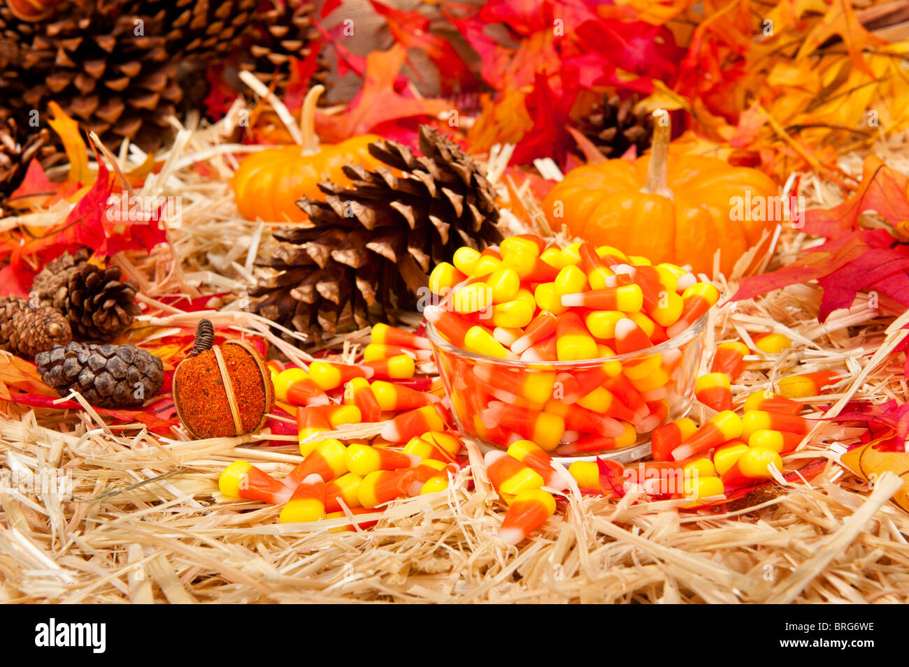An Autumn holiday theme with pumpkins, corn, pine cones, autumn leaves and candy on a hay base with focus on the candy. Stock Photo