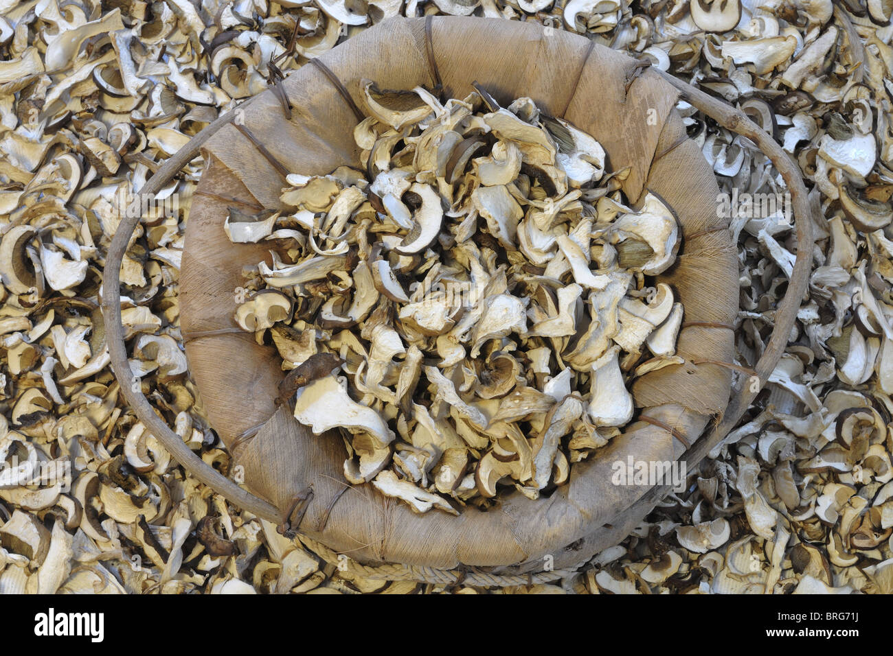Dried porcini mushrooms Stock Photo Alamy