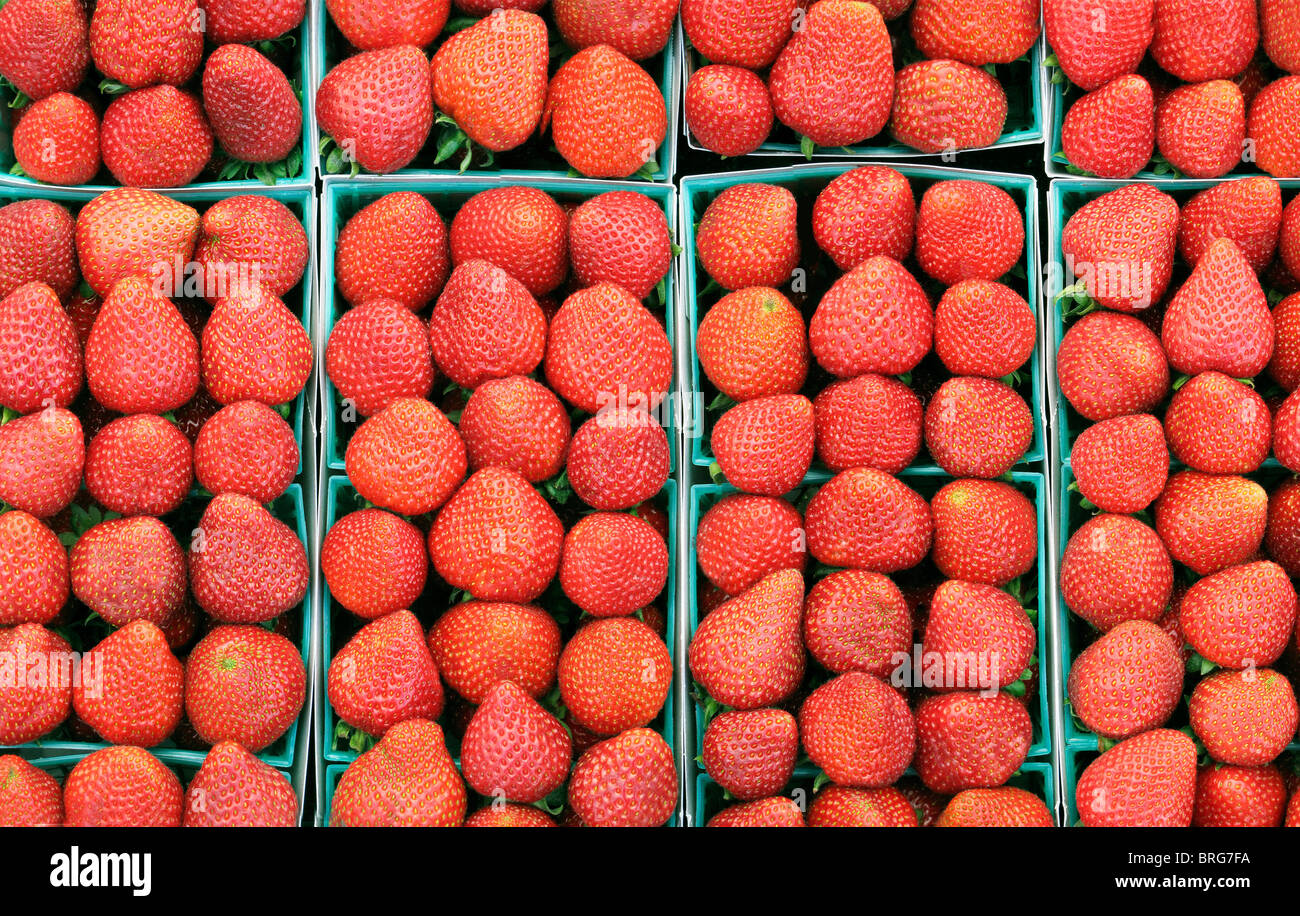 Lined up Strawberries at farmer's market. Los Angeles, California Stock Photo