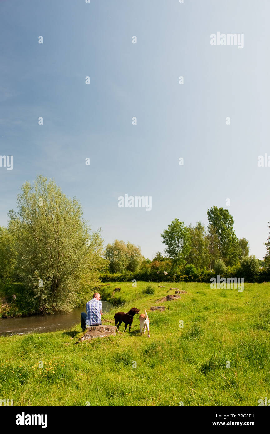 Man met twee honden langs de rivier de Geul in Limburg Stock Photo - Alamy