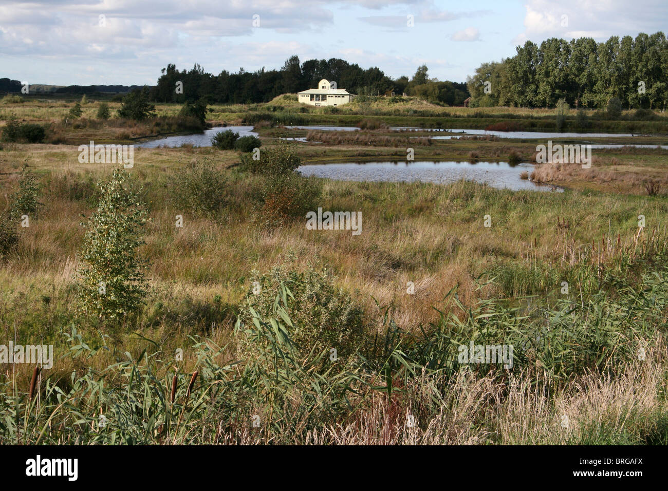 View Across To the Harrier Hide From New Reedbed Walk at Martin Mere WWT, Lancashire UK Stock Photo