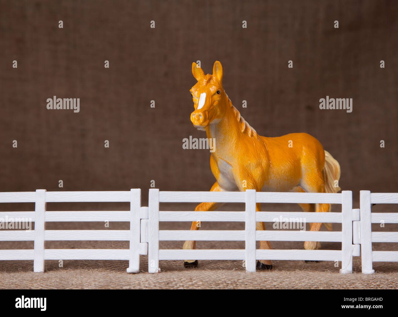 Toy horse behind fence Stock Photo Alamy