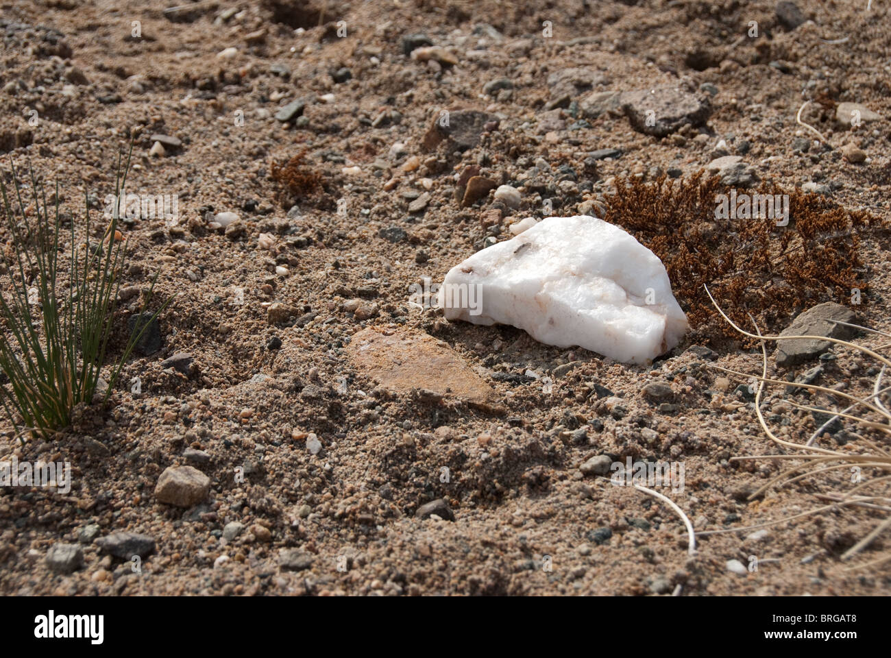 Quartz white rocks big and small background in Nevada desert Stock
