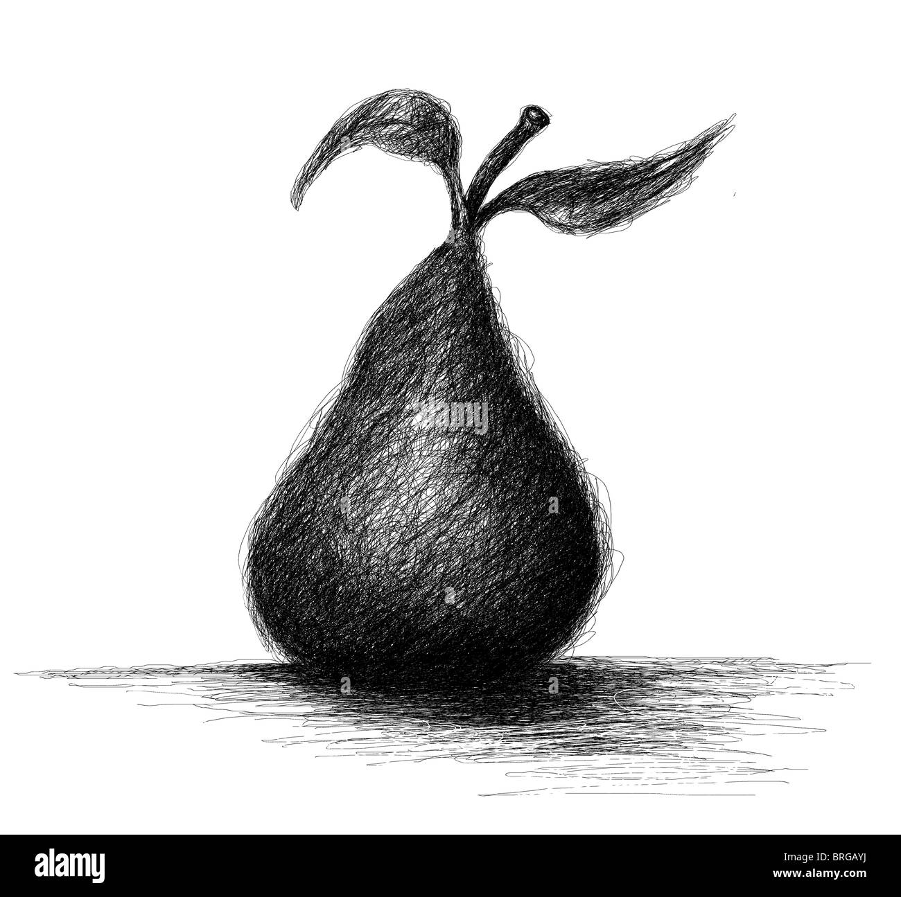 Loose drawing / sketch of a pear Stock Photo Alamy