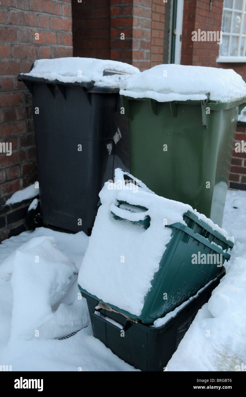 Black and green wheelie bins outside a brick terraced house covered in