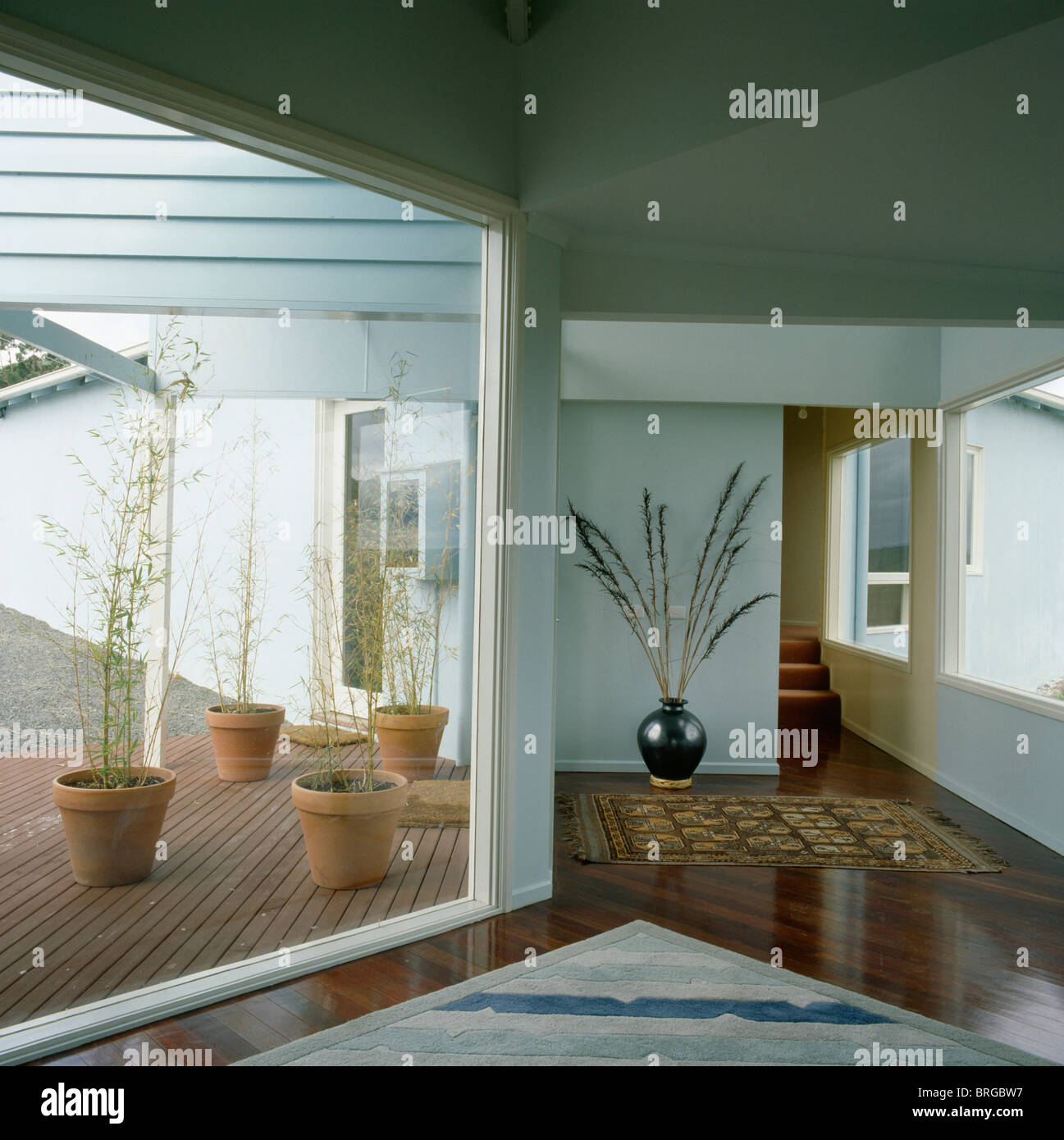 Modern white hall with glass wall with view of terracotta pots on ...