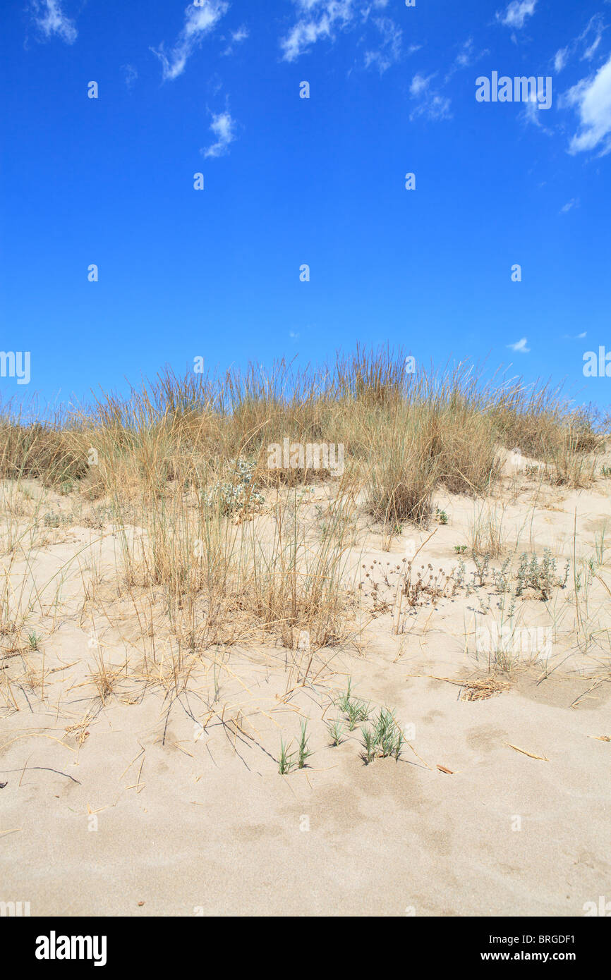 Closeup sand dunes against hi-res stock photography and images - Alamy