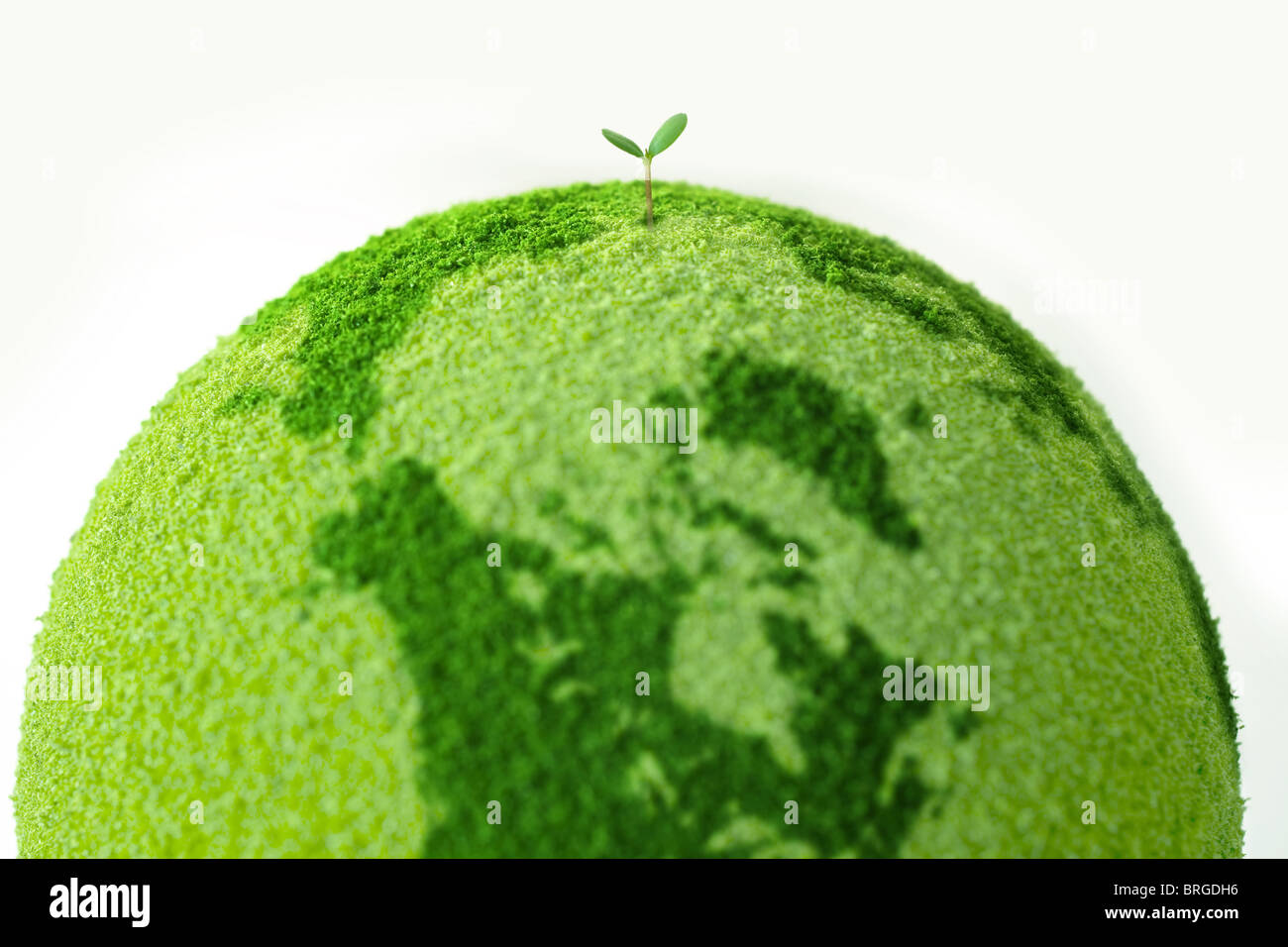Planet with Sprout Stock Photo - Alamy