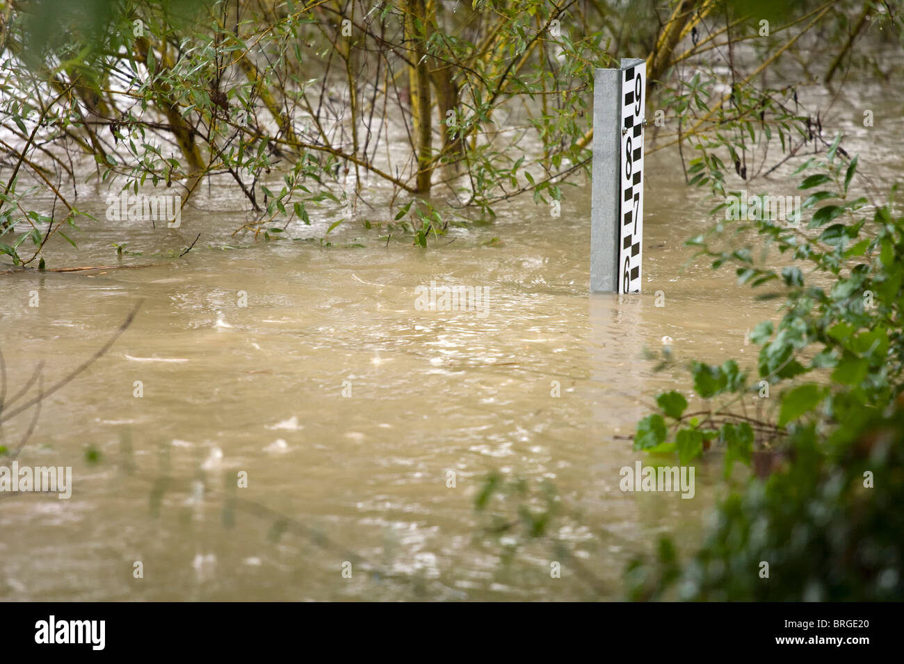 River deth meter. Stock Photo
