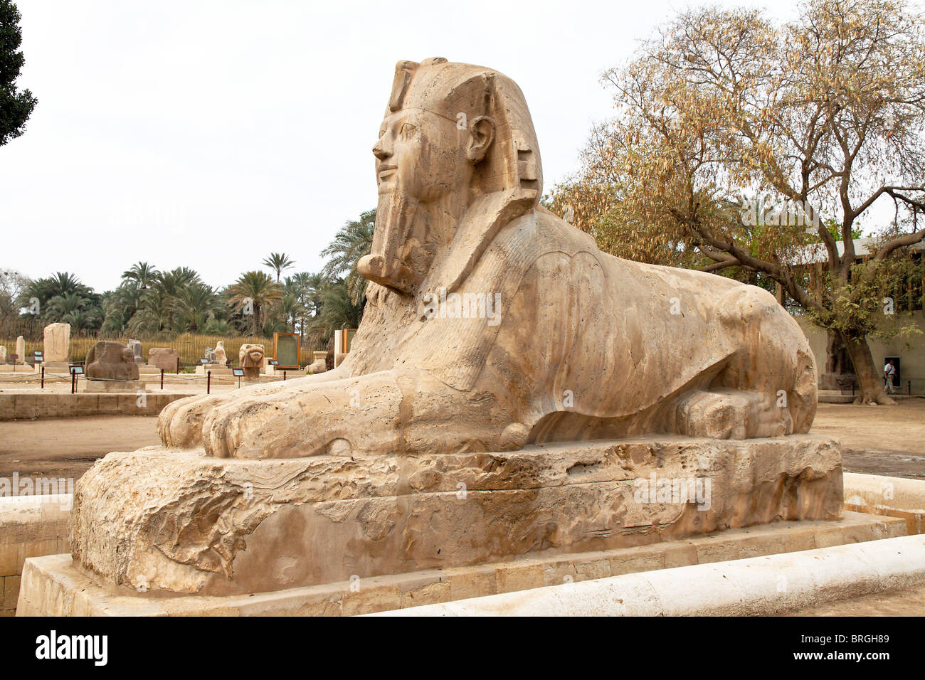 The Alabaster Sphinx in Memphis, Egypt Stock Photo - Alamy
