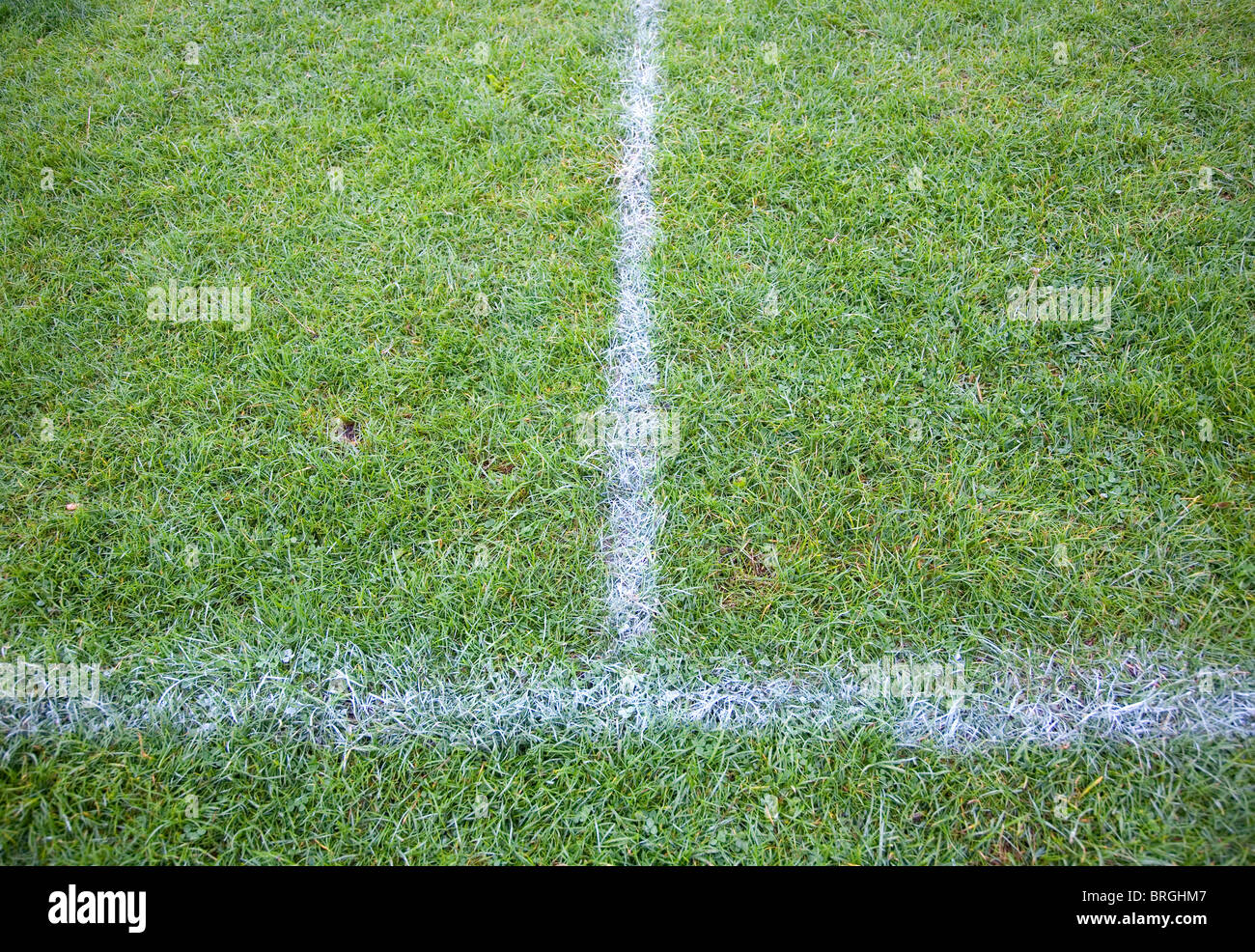 Boundary lines on Sports Field Stock Photo