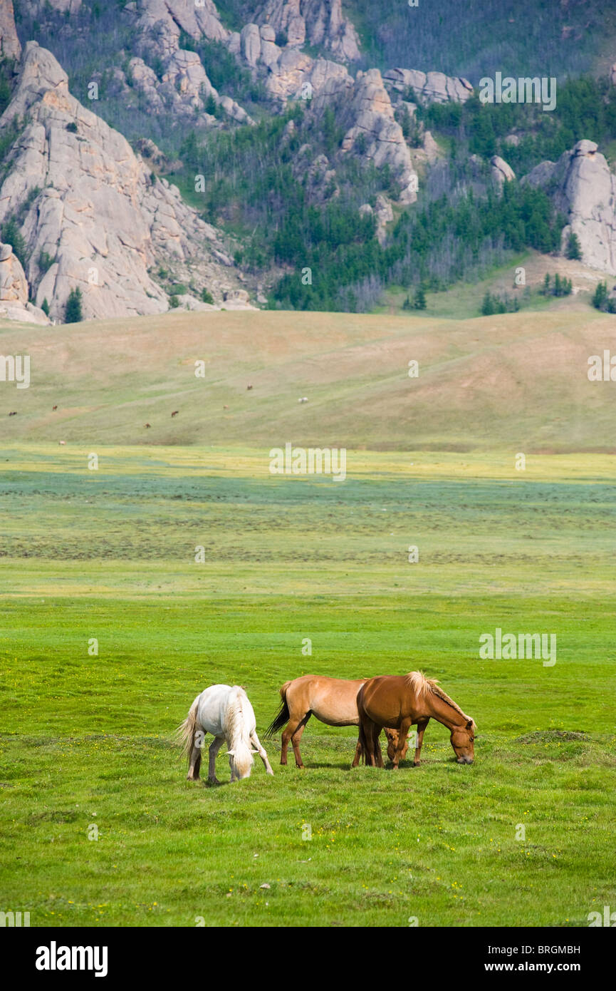 grazing horses on green pasture near mountain Stock Photo - Alamy
