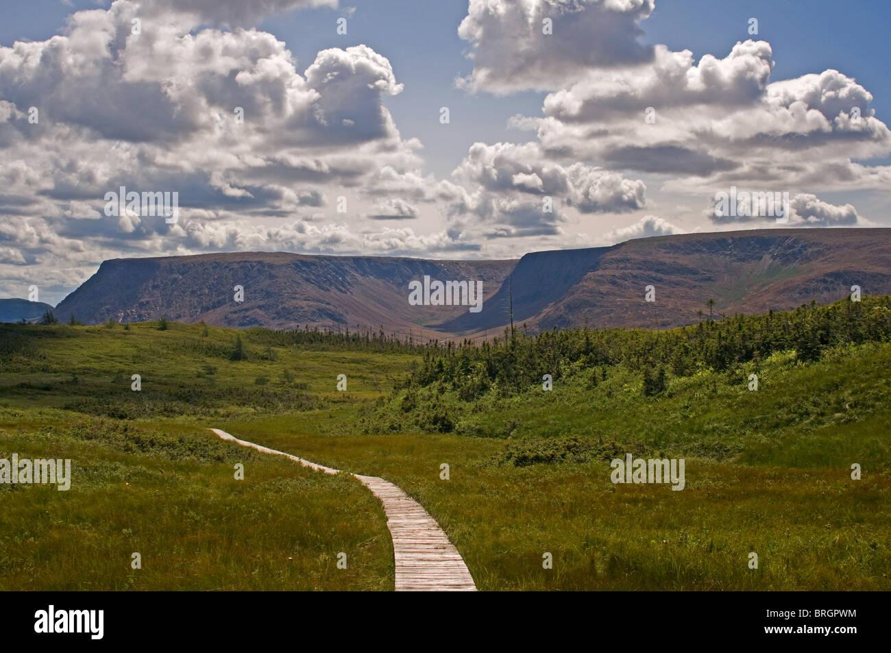 Tablelands from the boardwalk on the Lookout Trail Gros Morne National Park Newfoundland and Labrador Stock Photo