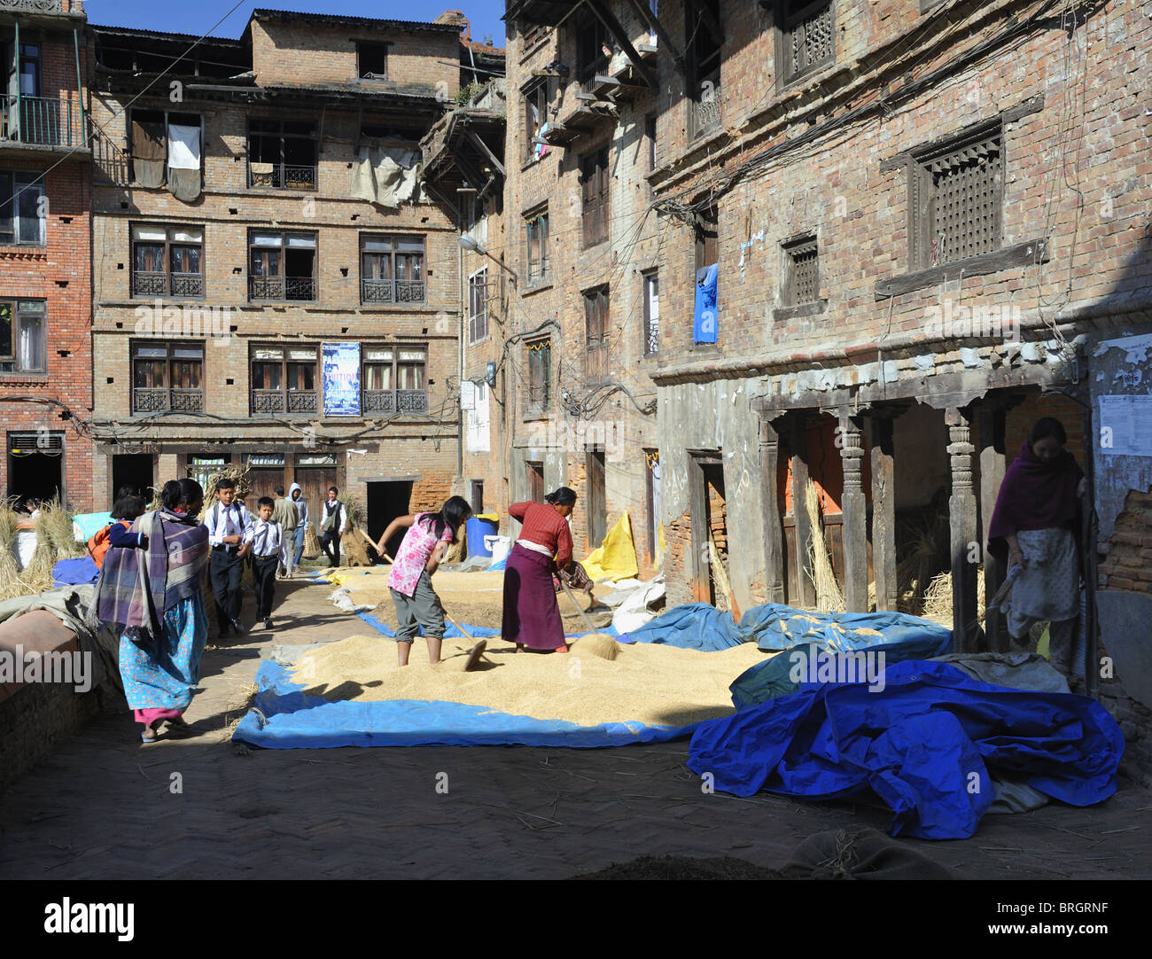 Rice drying, Baktapur, Kathmandu, Nepal. Stock Photo