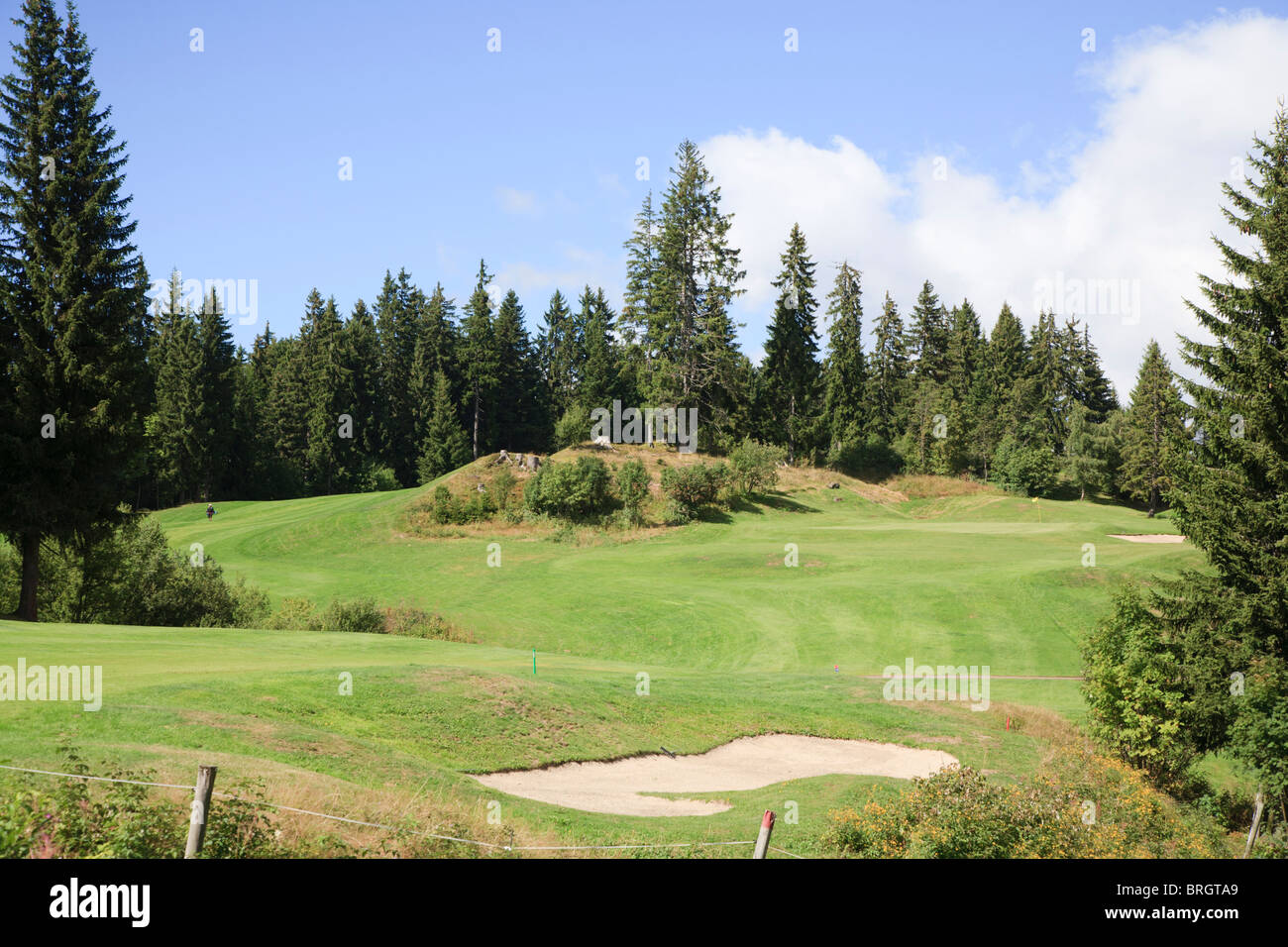 Part of the 9 hole golf course above Morzine in the French Alps in