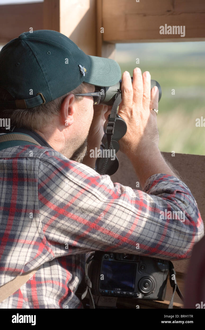 Bird watcher using binoculars to view from within a hide or blind. Stock Photo