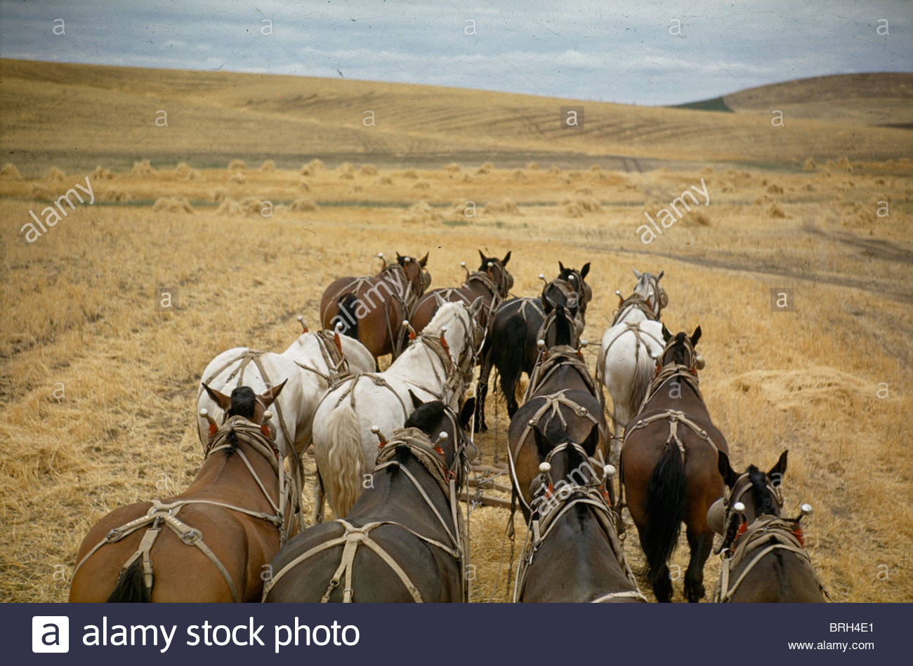 Spokane Washington Landscapes Stock Photos & Spokane Washington