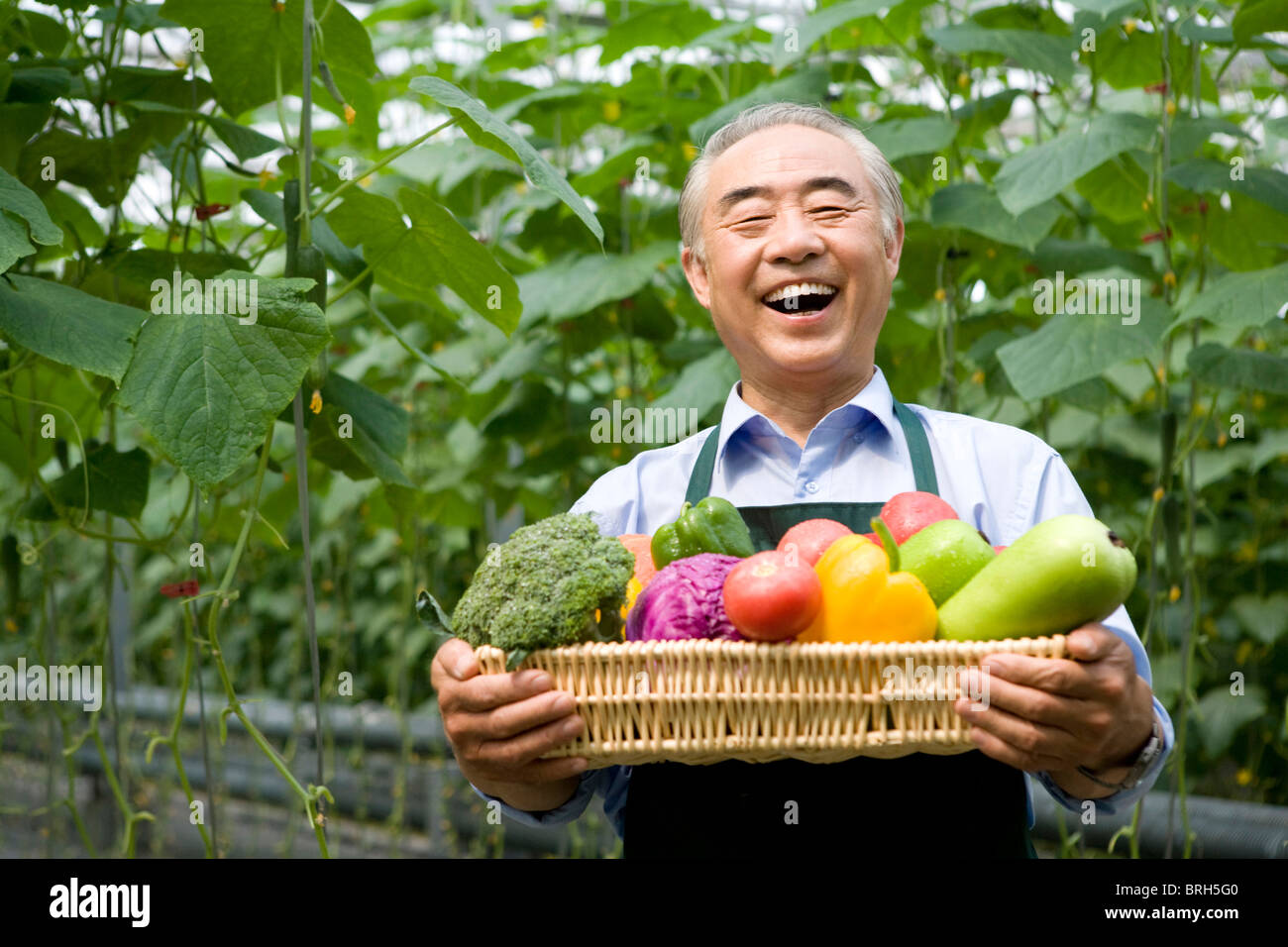 Farmer holding vegetables in modern farm Stock Photo - Alamy