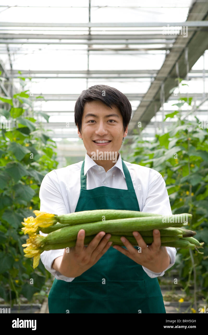 Young man holding cucumbers in modern farm Stock Photo Alamy