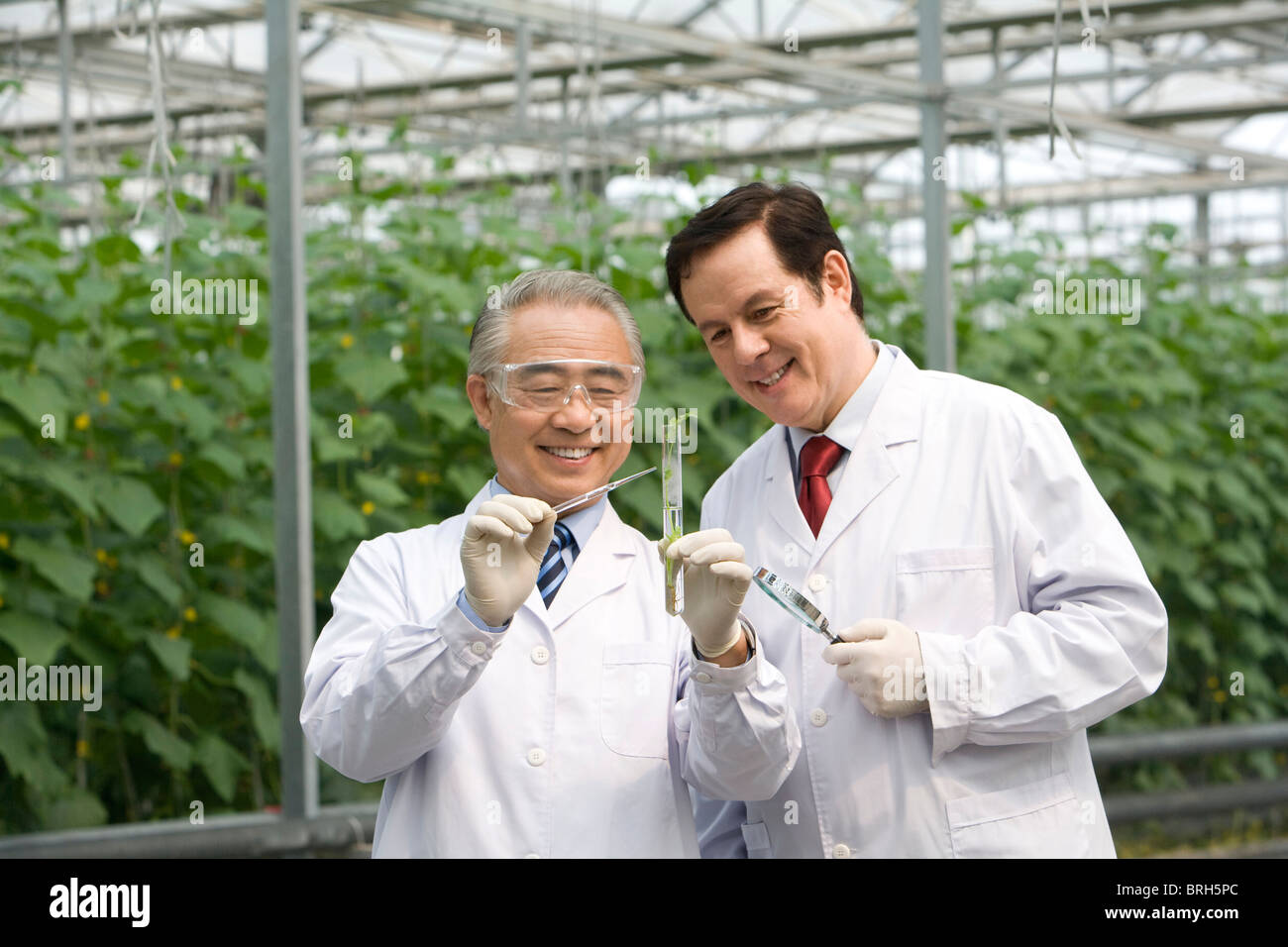 Two scientists looking glass hi-res stock photography and images - Alamy